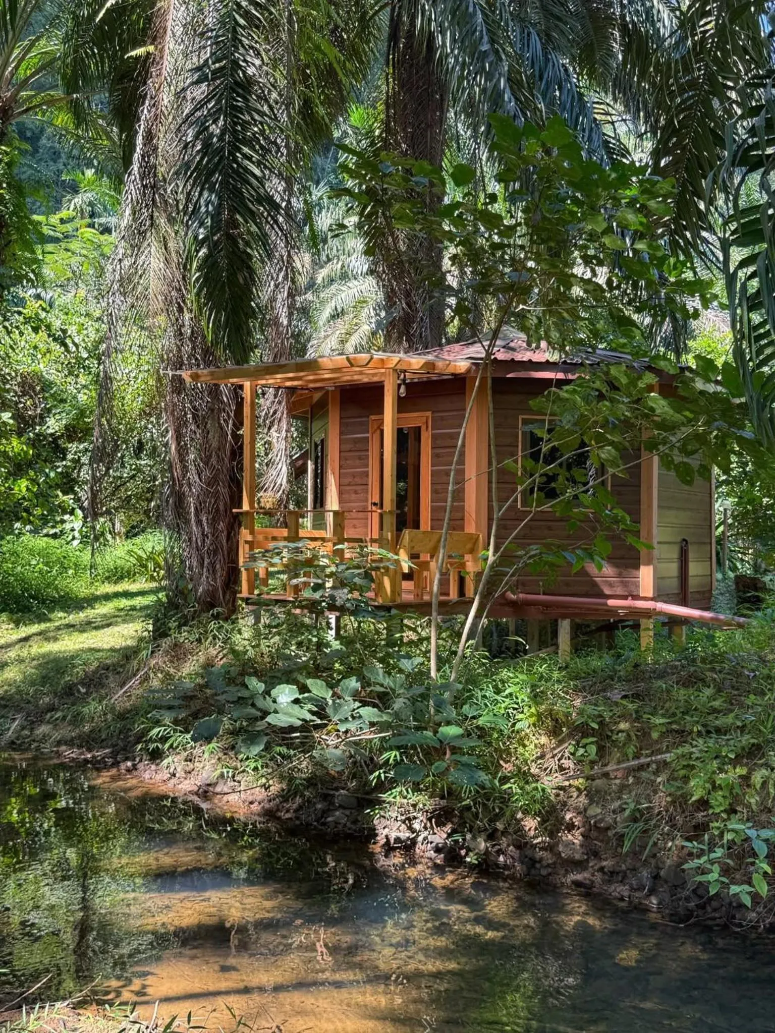 Khao Sok Silver Cliff Resort