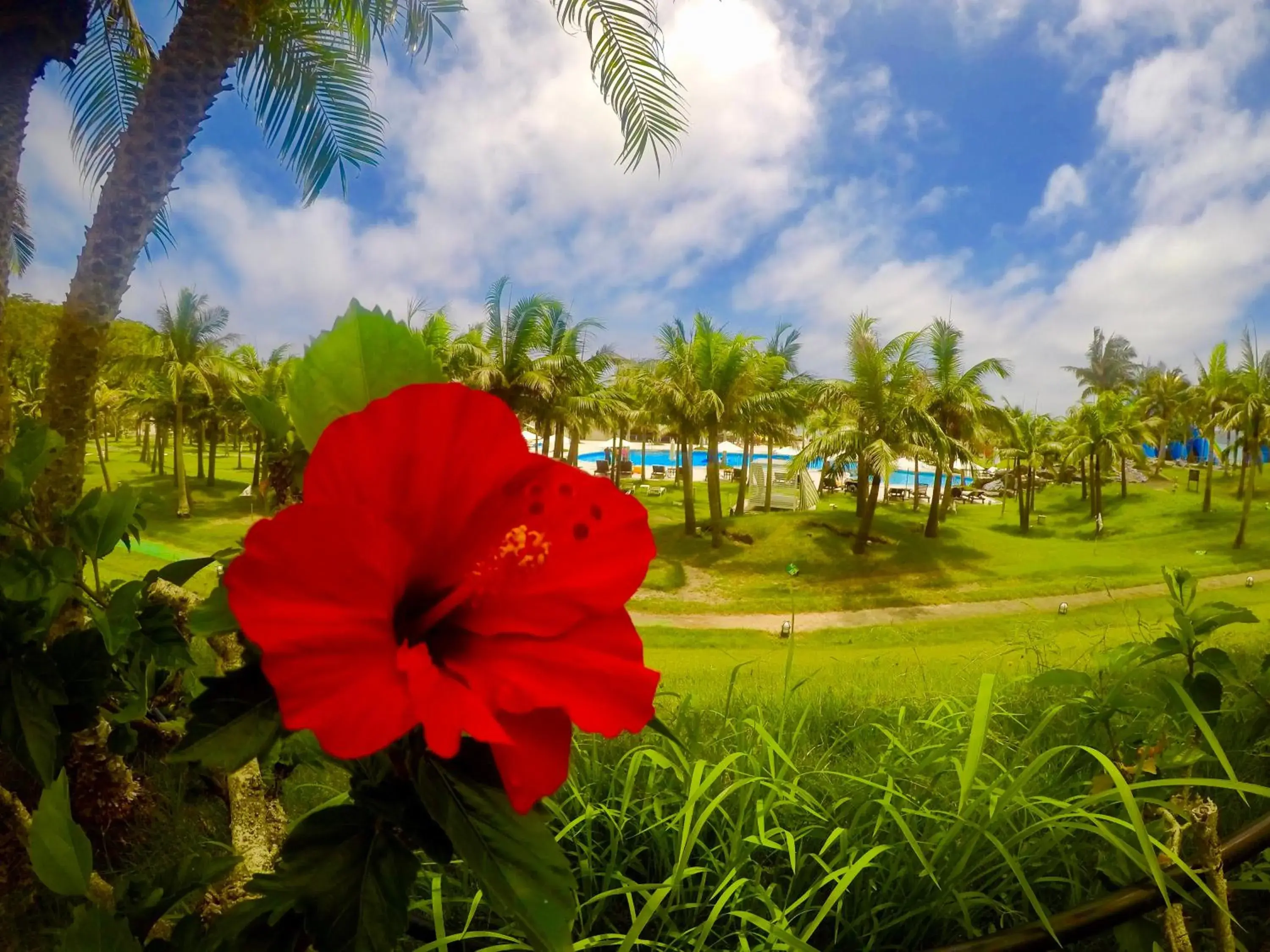 Garden view in Kanucha Bay Hotel & Villas Garden view in Kanucha Bay Hotel & Villas