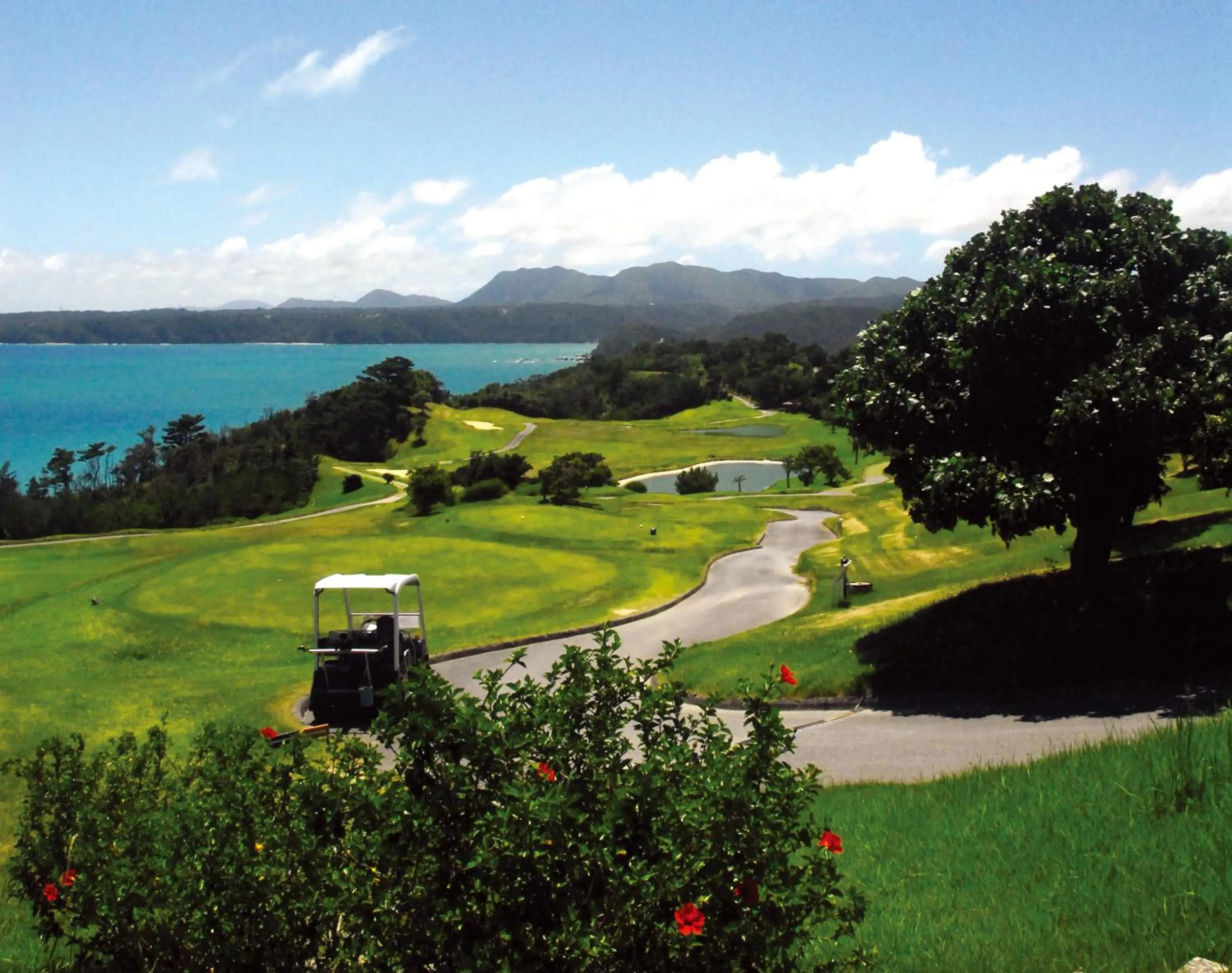 Day in Kanucha Bay Hotel & Villas