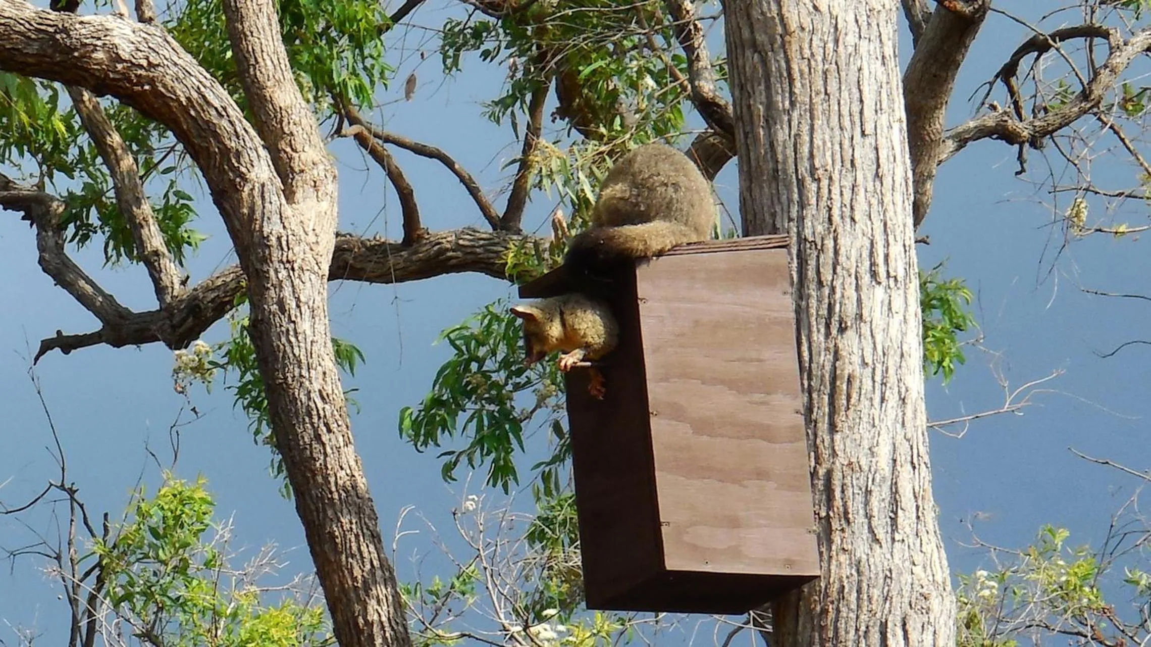 Natural landscape in 31 The Rocks