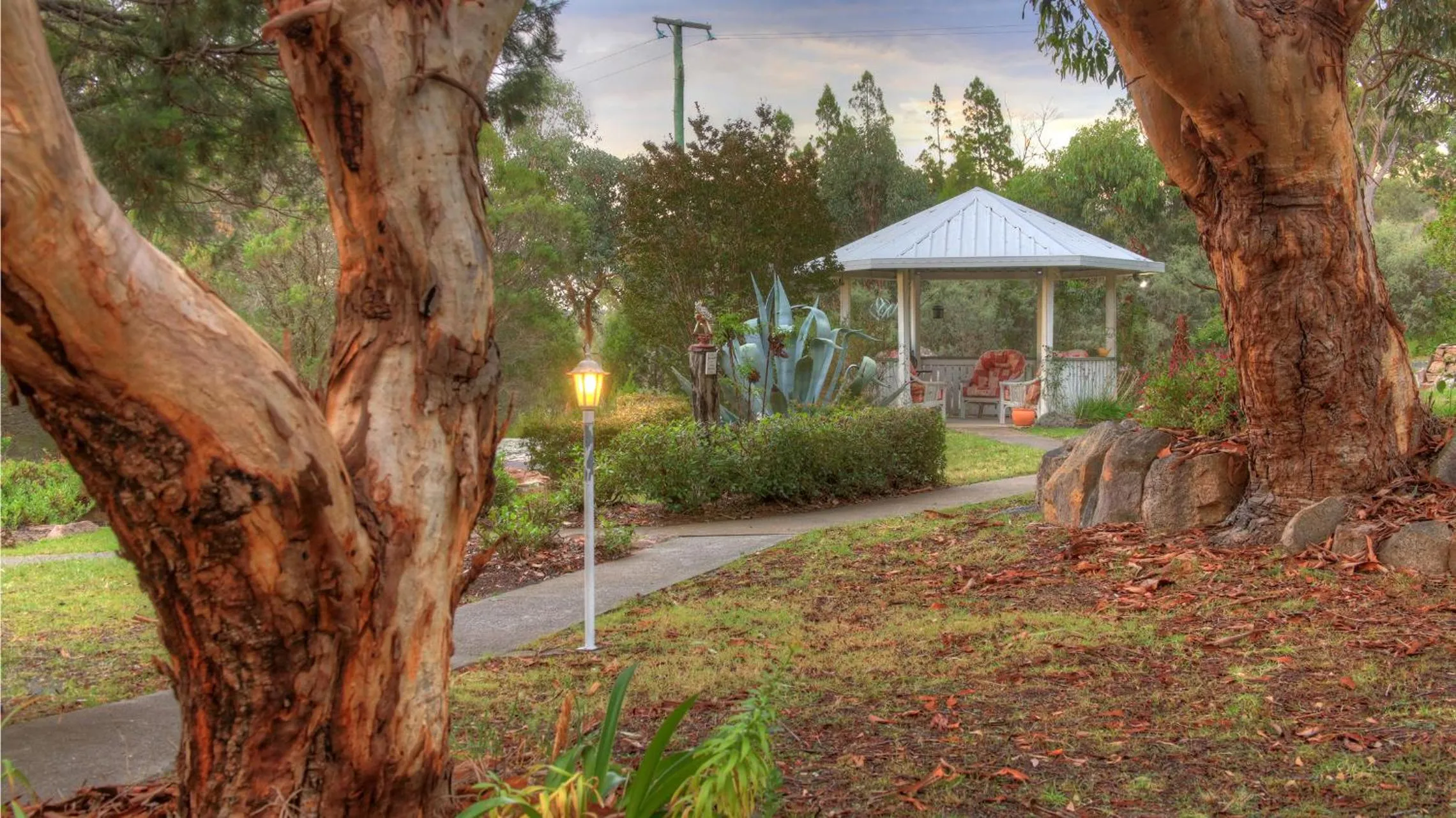 Garden in 31 The Rocks