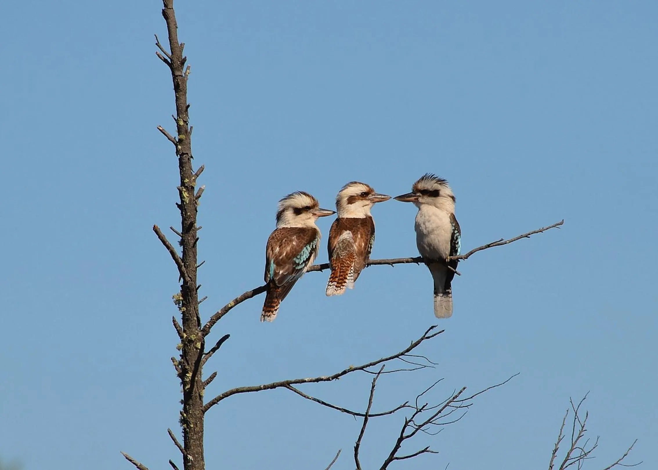 Natural landscape in 31 The Rocks
