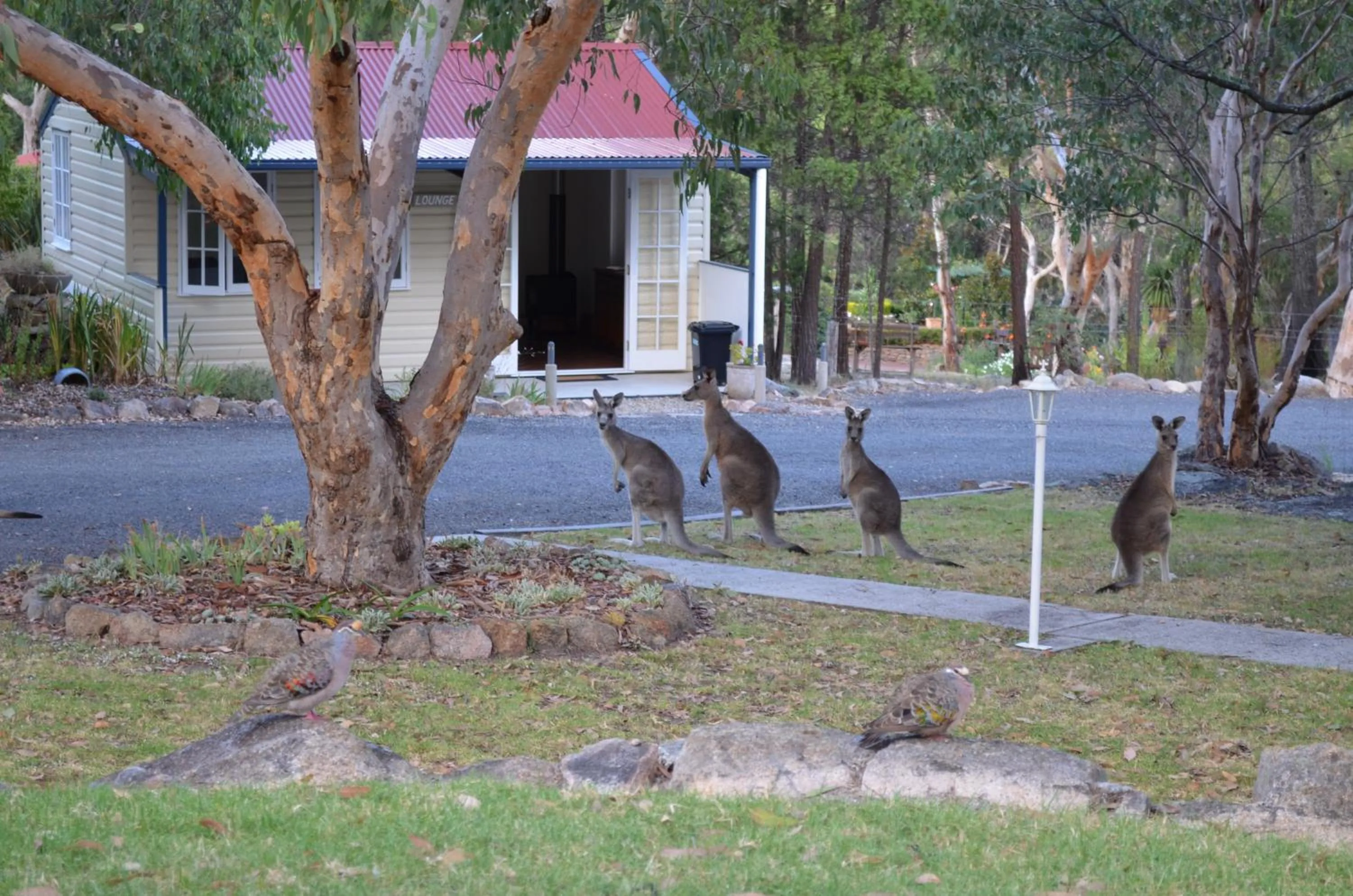Communal lounge/ TV room in 31 The Rocks