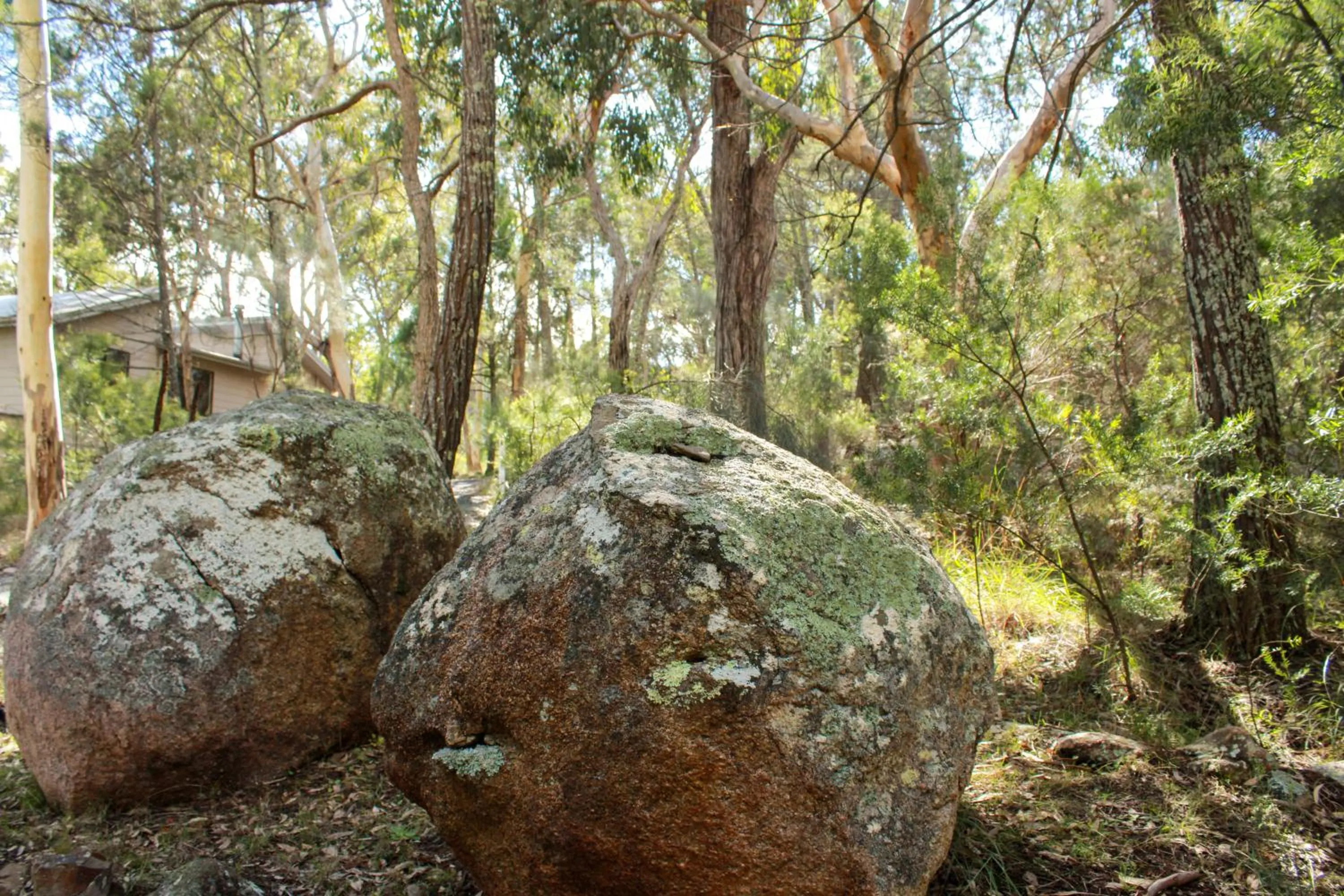 Hiking in 31 The Rocks