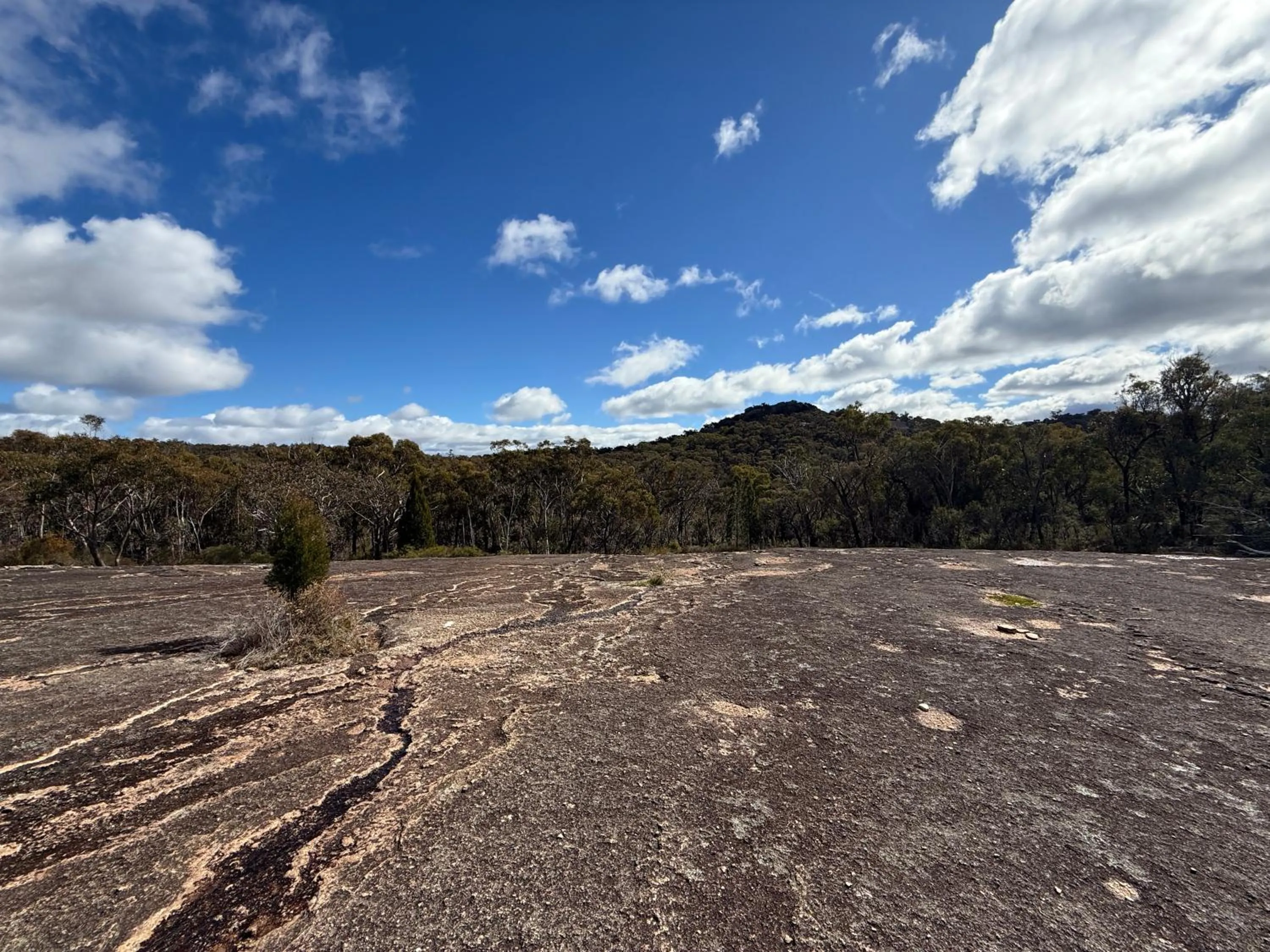 Hiking in 31 The Rocks