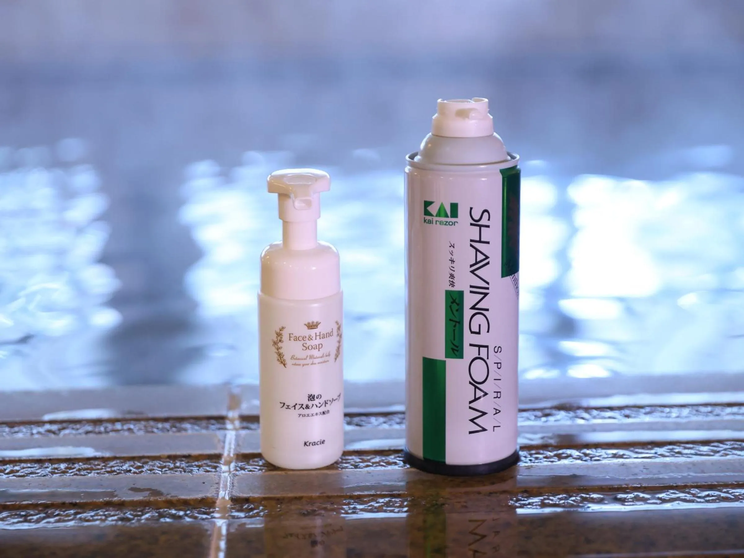 Public Bath in Dormy Inn Gifu Ekimae