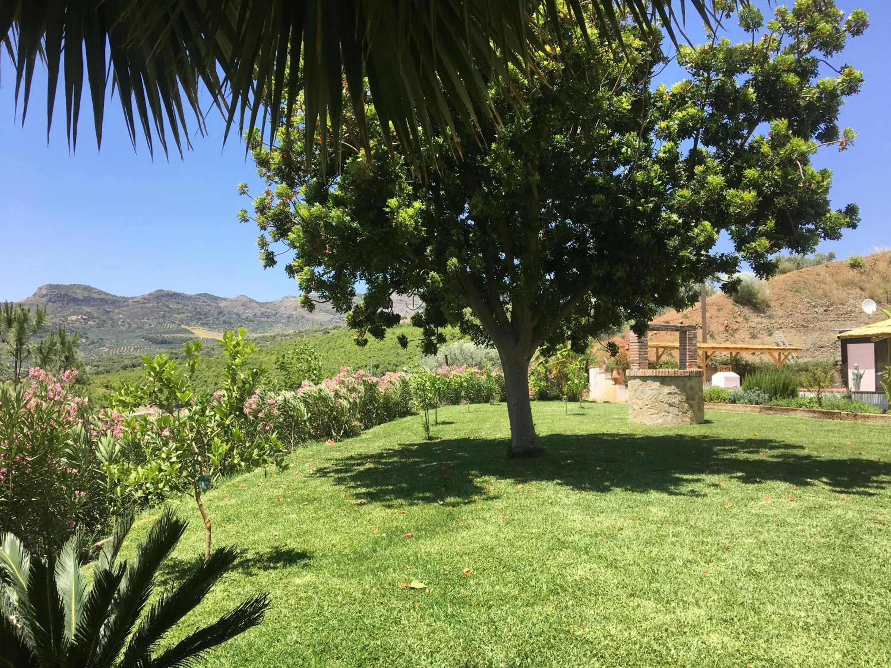 Garden in Finca Las Hierbas B&B