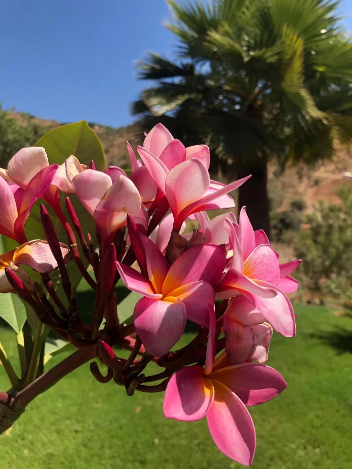 Natural landscape in Finca Las Hierbas B&B