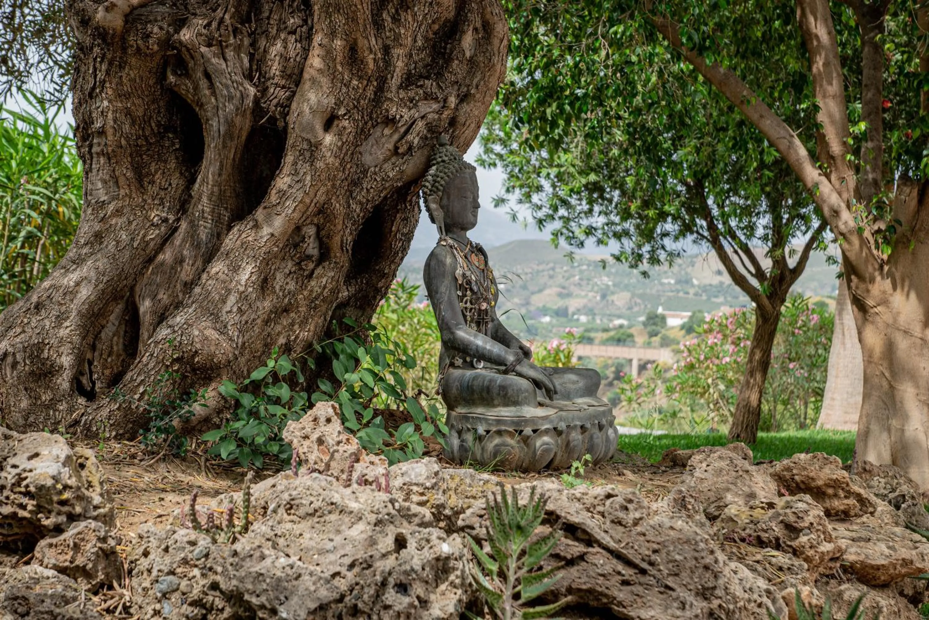 Natural landscape in Finca Las Hierbas B&B