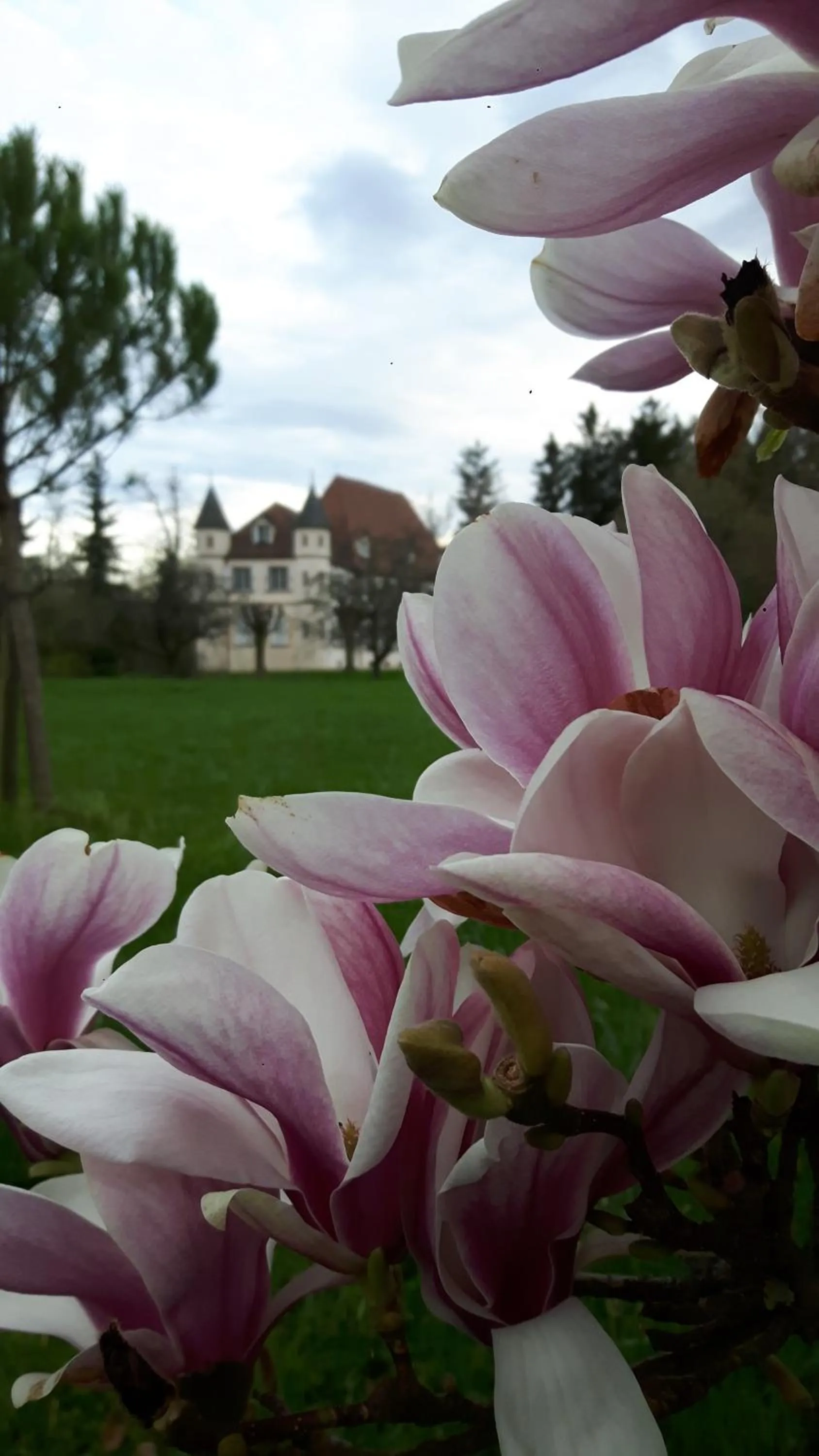 Property building in Château De Werde