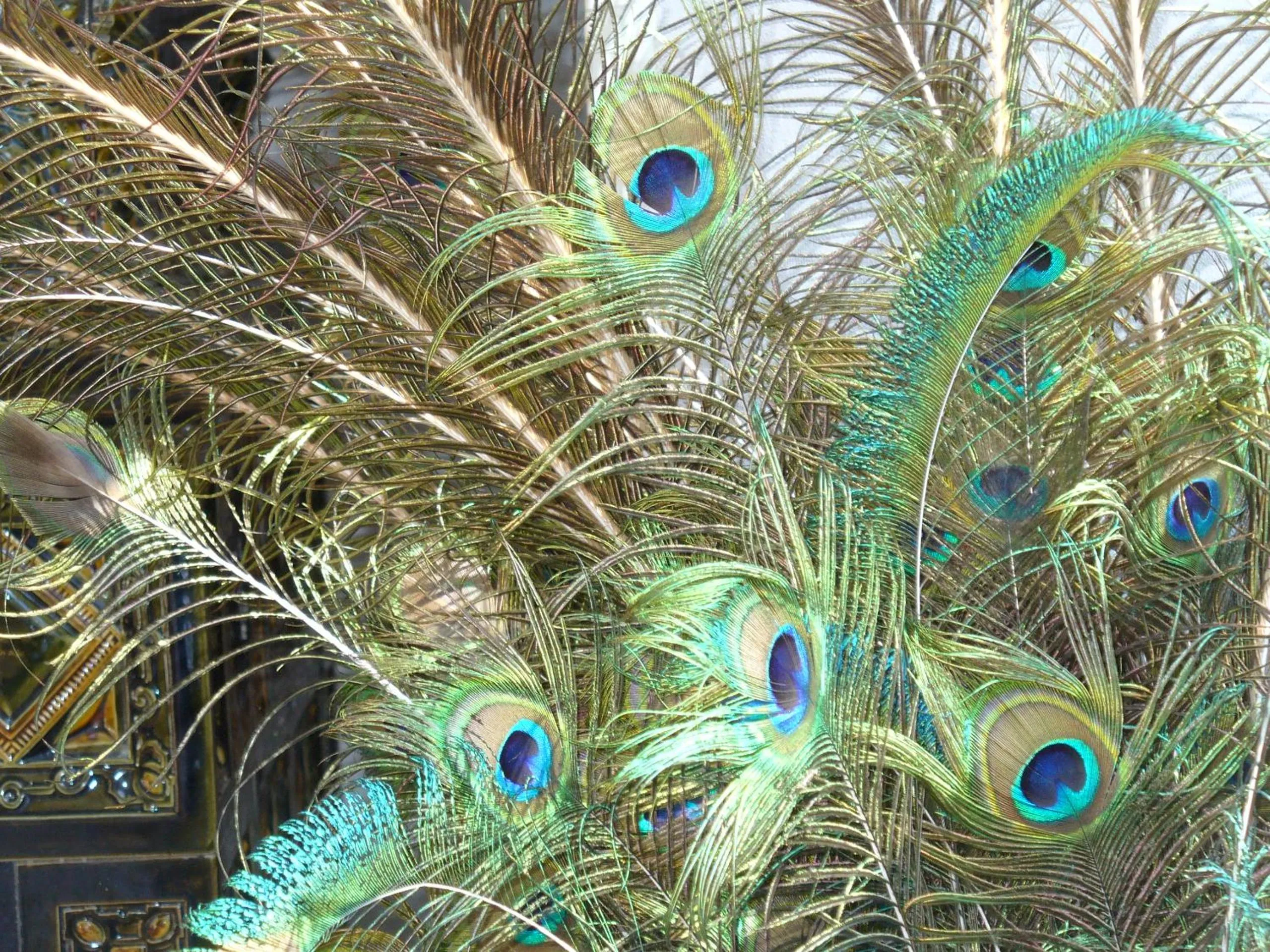 Decorative detail in Château De Werde