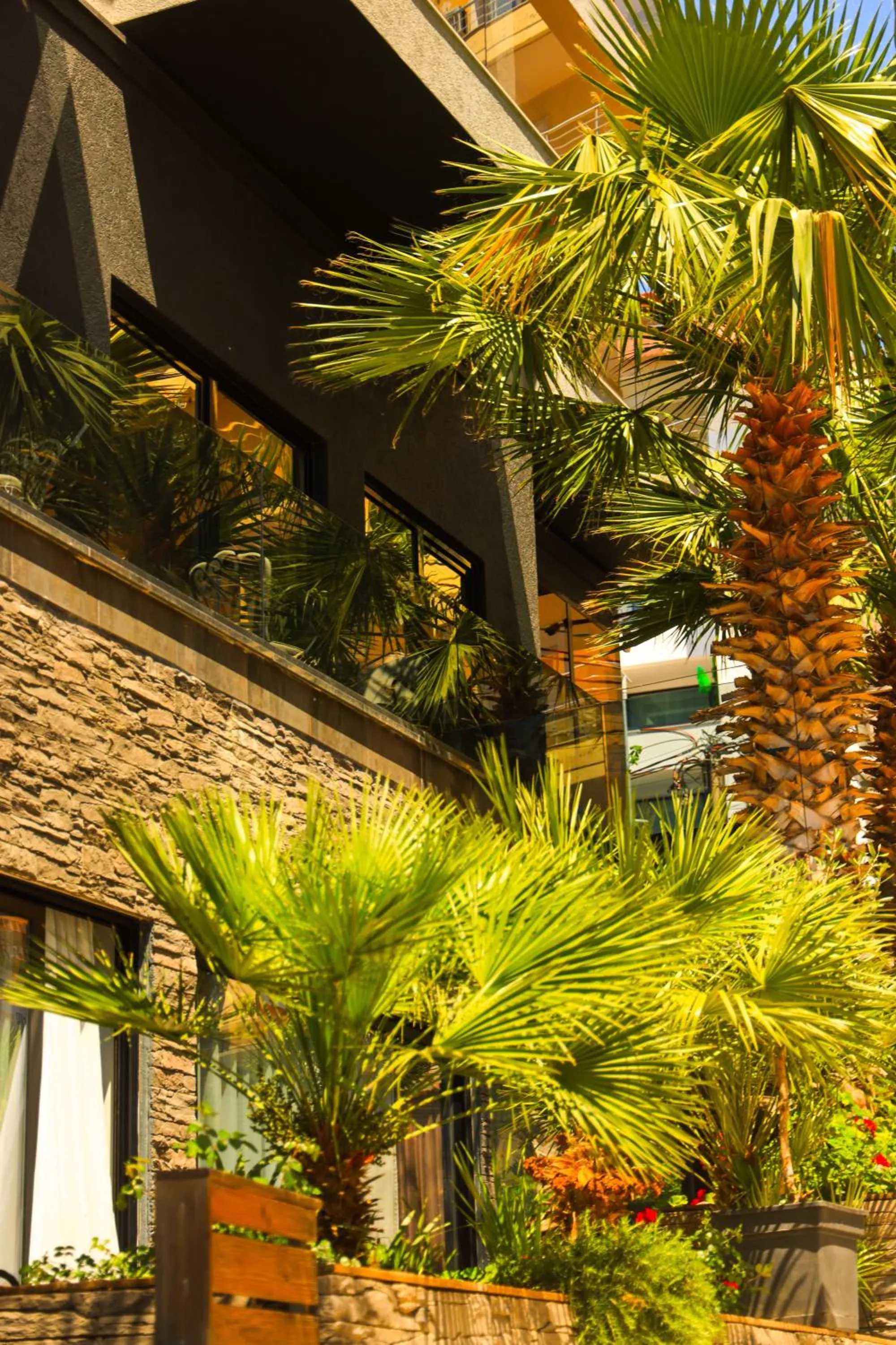 Facade/entrance in Hotel Apollon Sarande