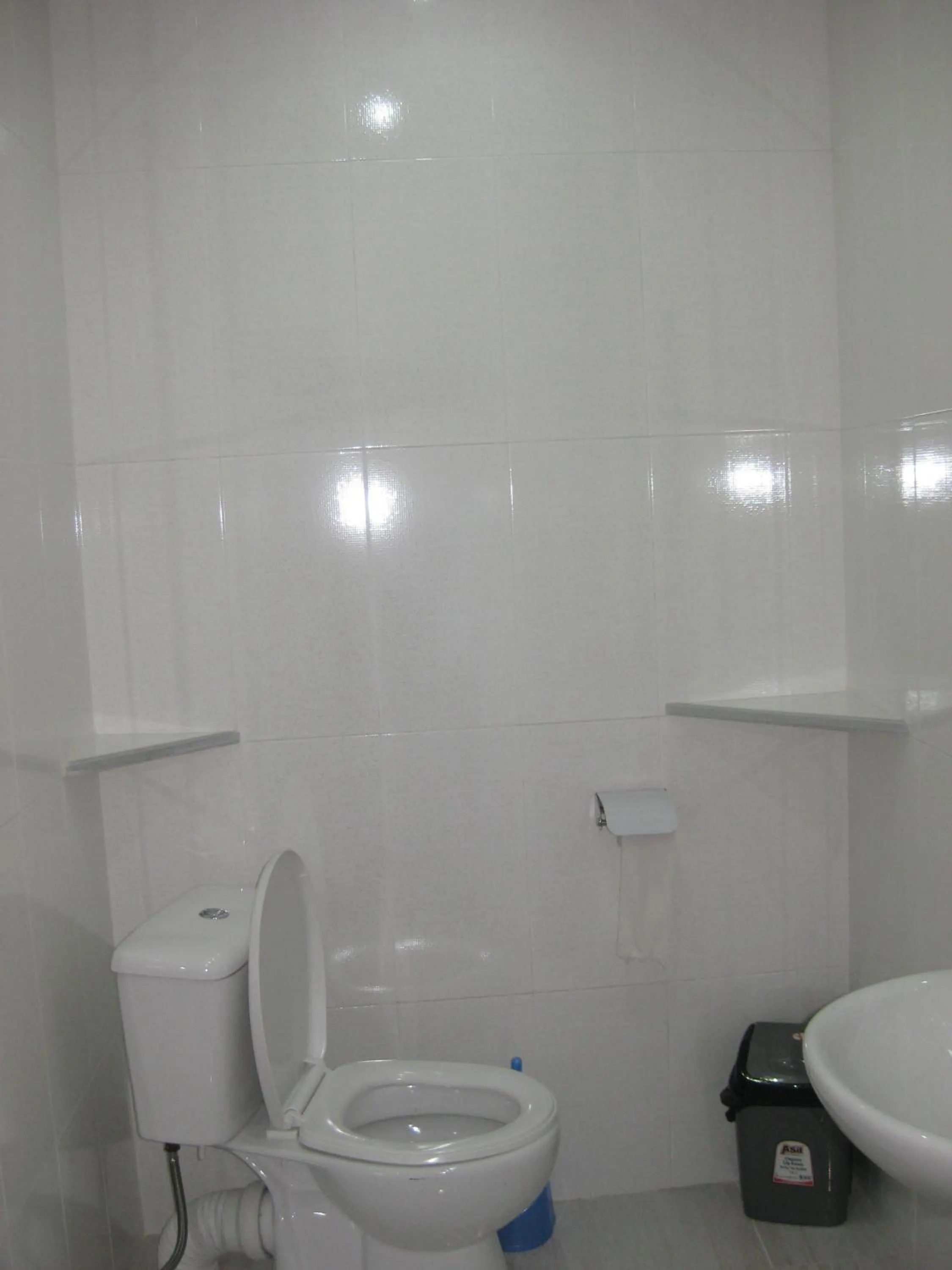 Toilet in Maya Guest House