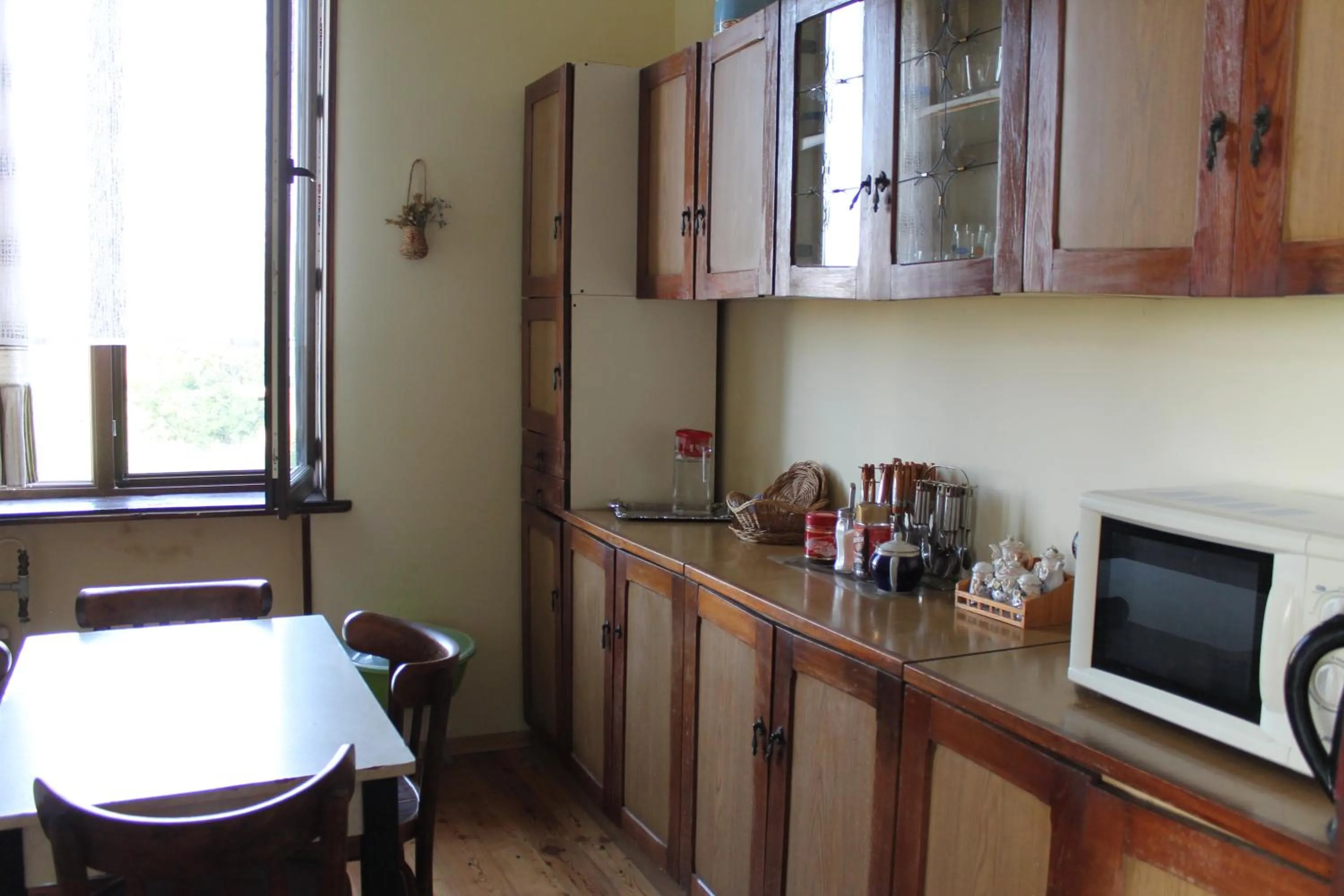 Kitchen or kitchenette in Maya Guest House