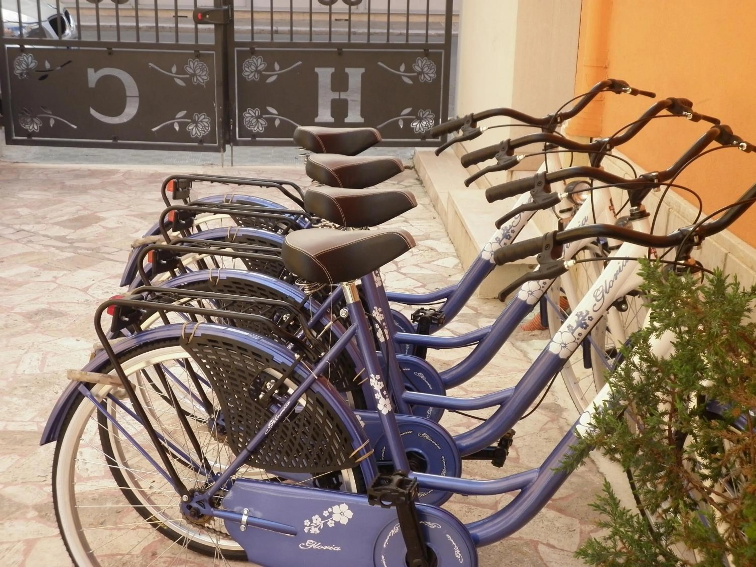 Cycling in Hotel Cristall