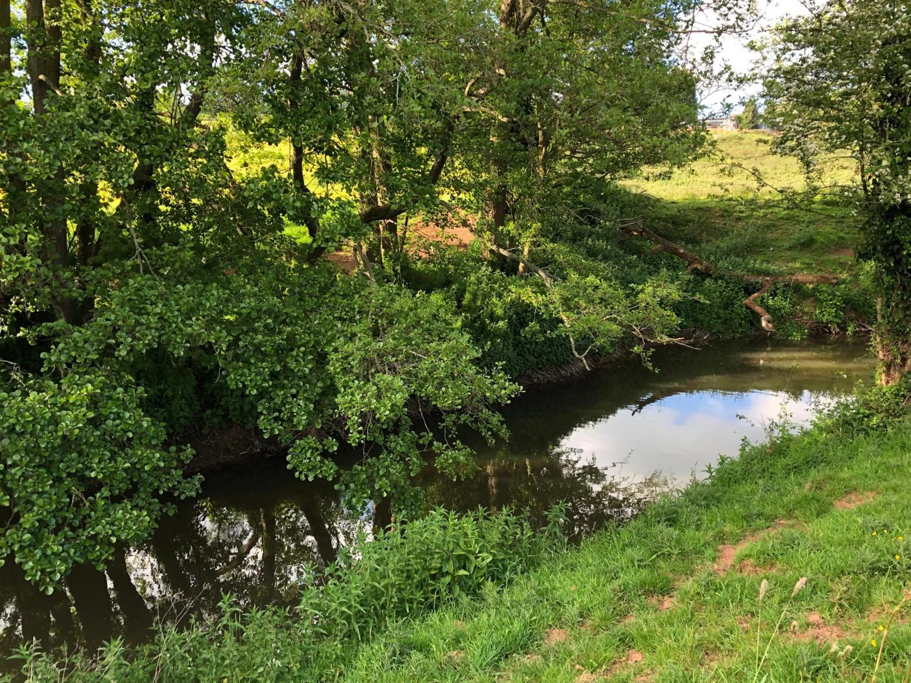 Natural landscape in Caynham Court