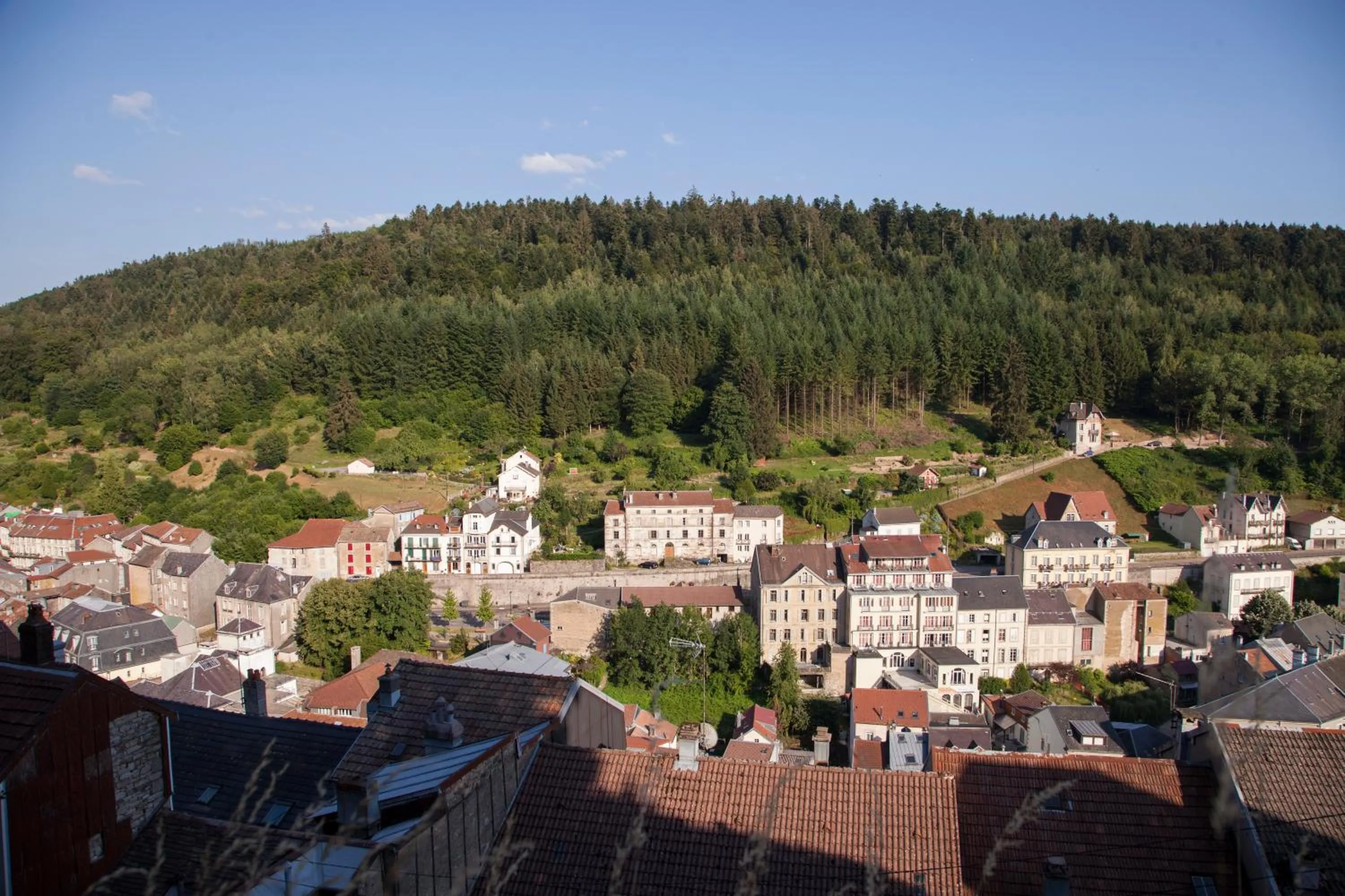 Natural landscape in Le Grand Hotel de Plombières by Popinns