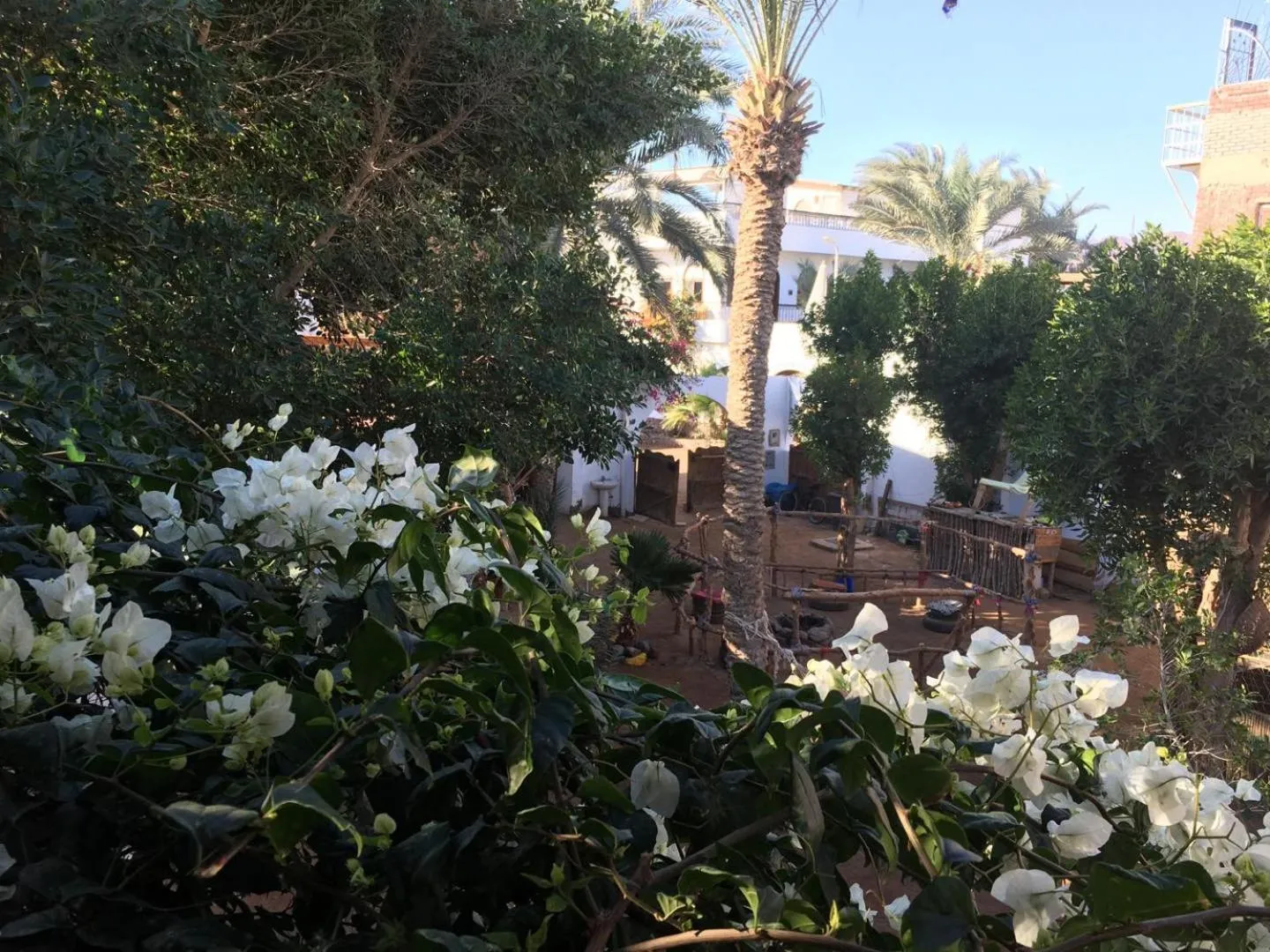 Patio in Sunrise Dahab lodge