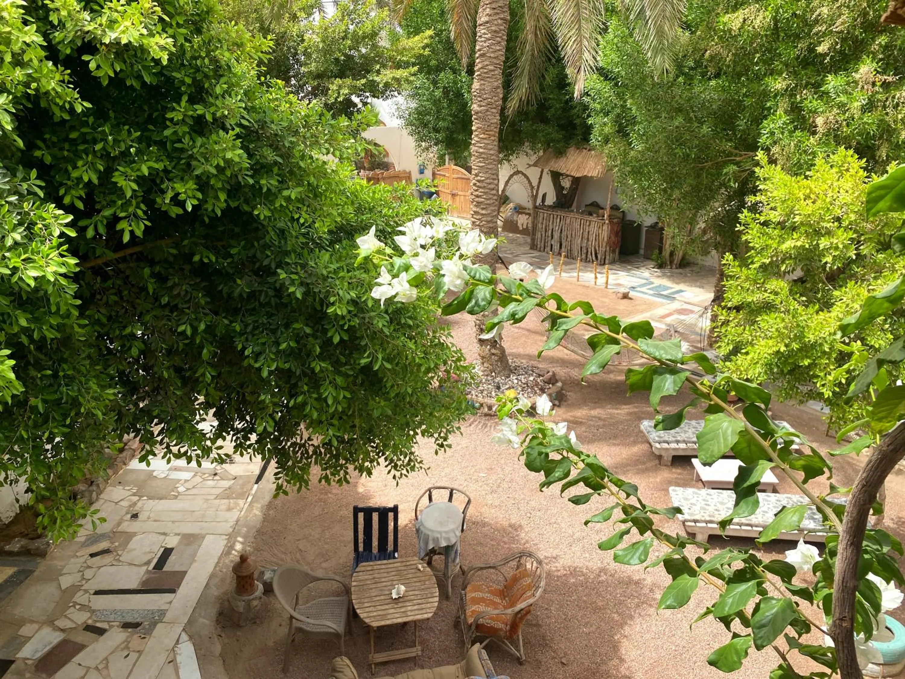 Garden view in Sunrise Dahab lodge