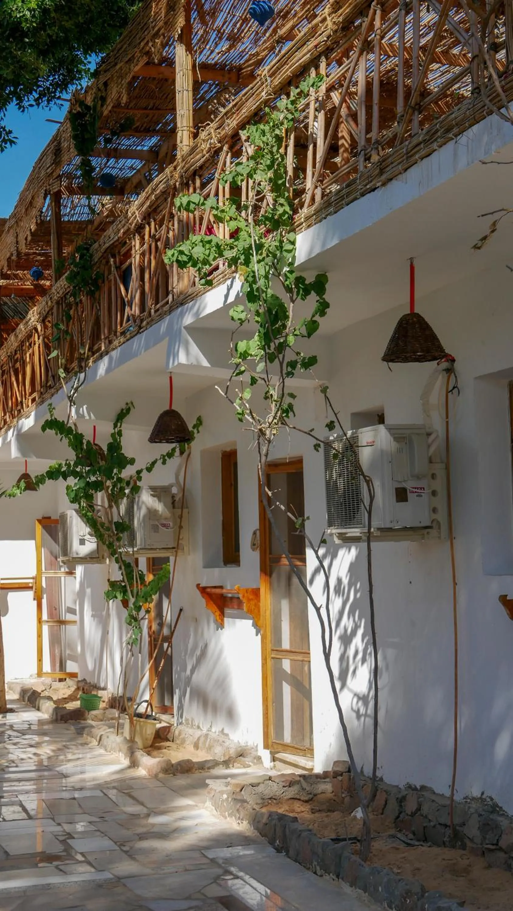 Property building in Sunrise Dahab lodge