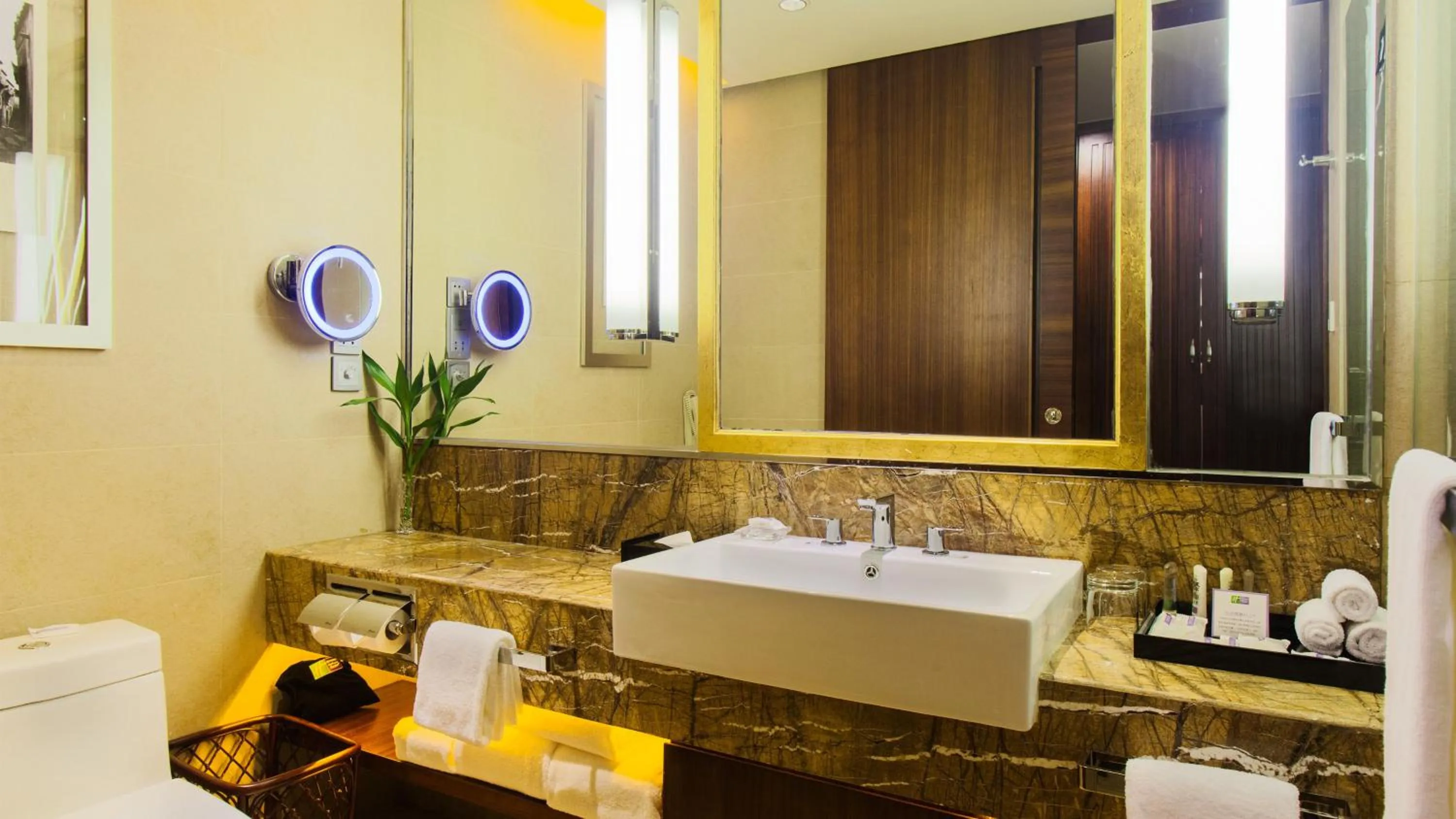 Bathroom in Holiday Inn Resort Chaohu Hot Spring by IHG