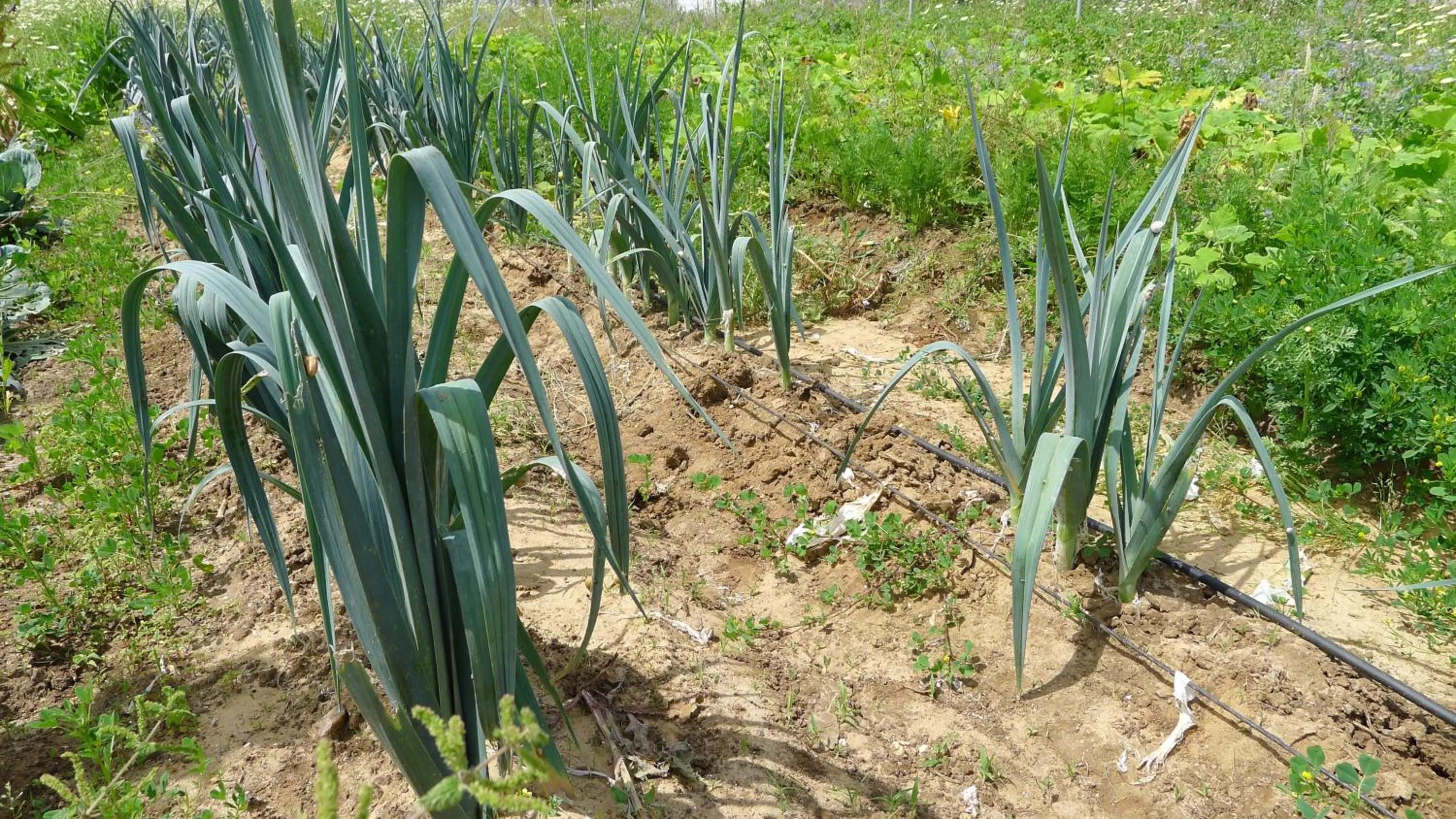 Natural landscape in Hotel Rural Casa Fina - Adults Recommended