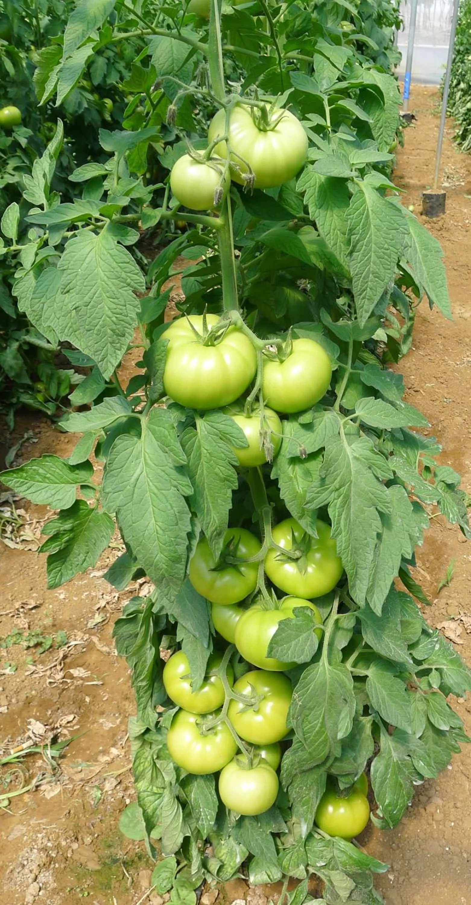 Off site in Hotel Rural Casa Fina - Adults Recommended