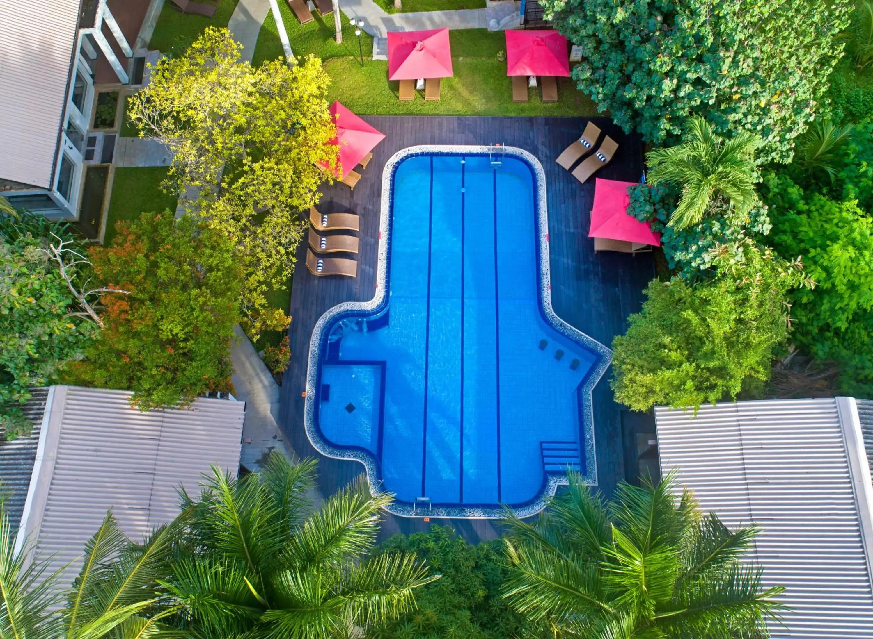 Swimming pool in Chaarya Resort & Spa Swimming pool in Chaarya Resort & Spa