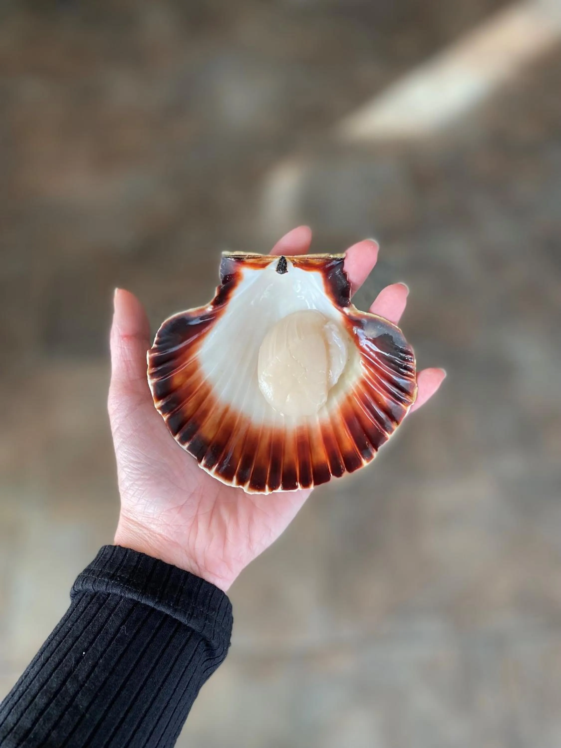 Food and drinks in Hotel Restaurant l'Eskemm St Brieuc-Trégueux