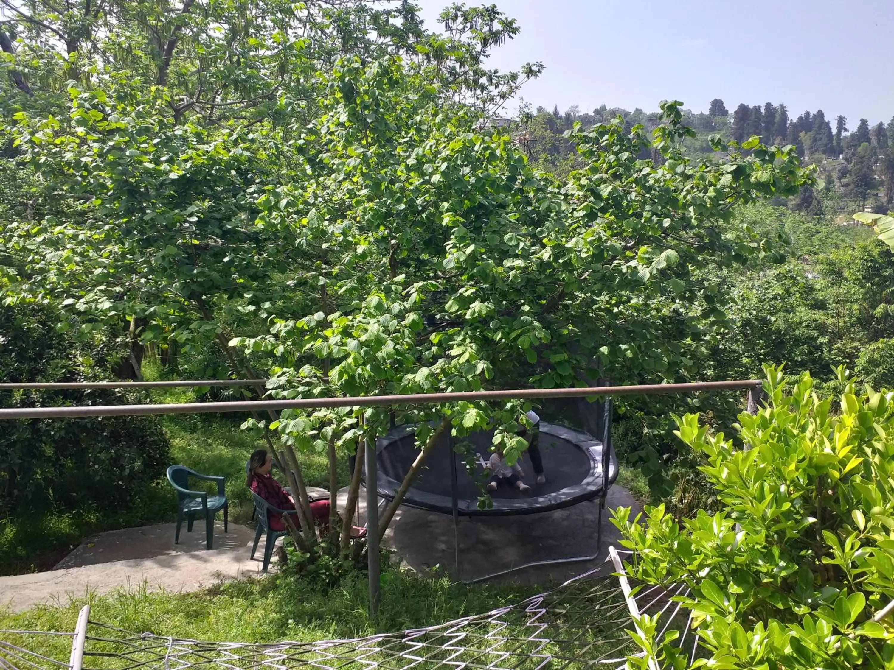 Garden view in Green Cape Guest House