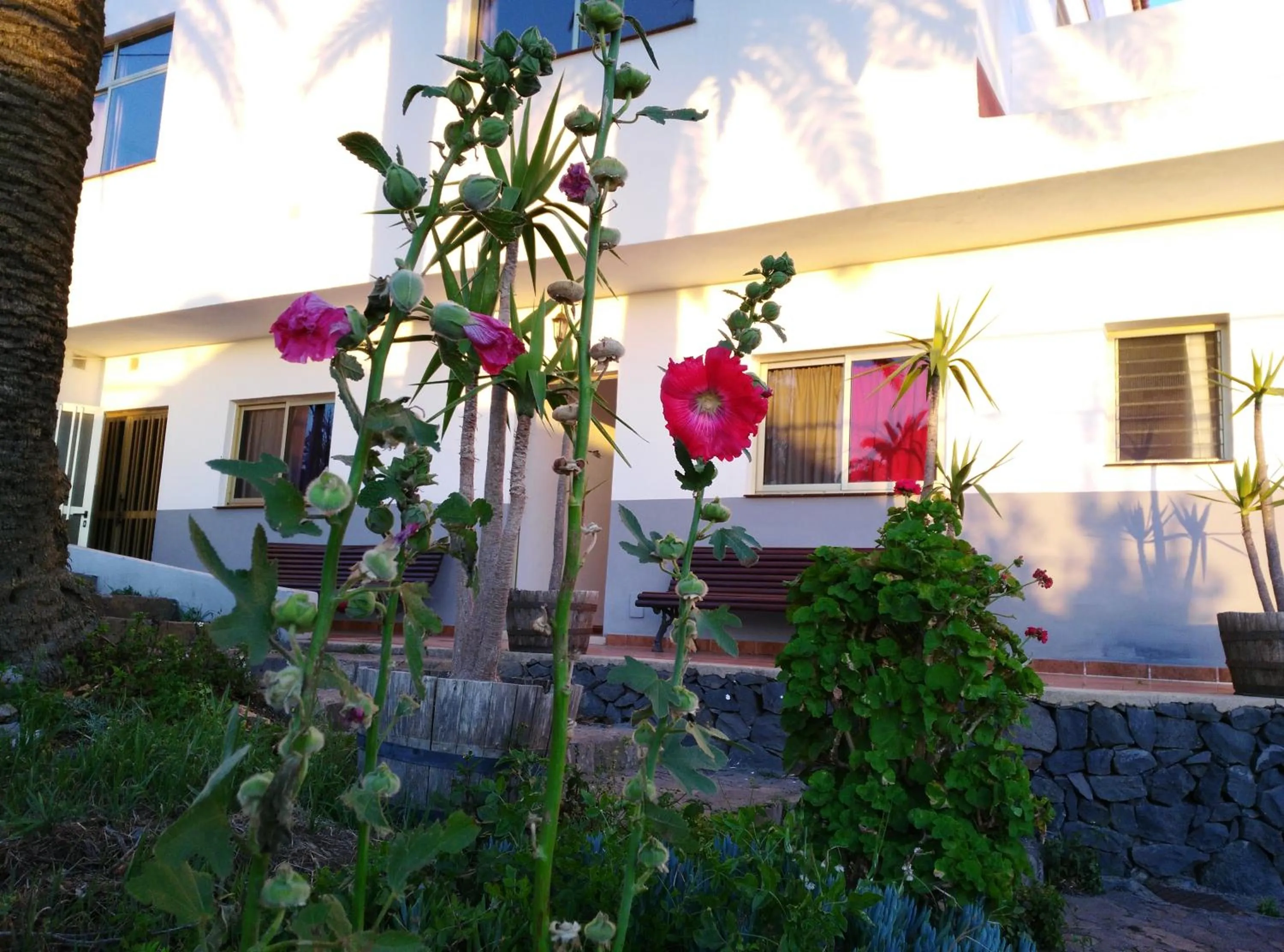 Property building in Pensión Amparo Las Hayas