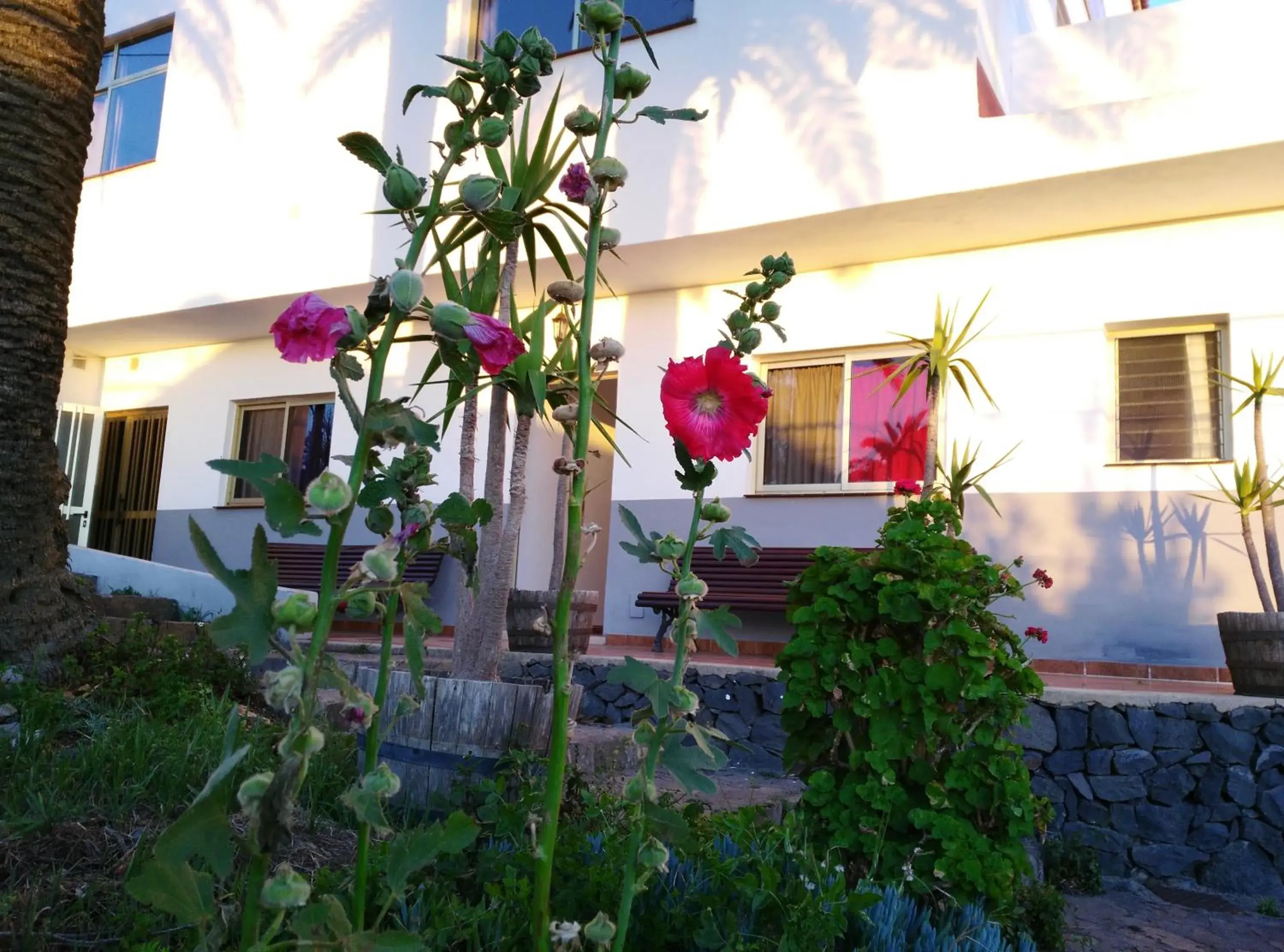 Twin Room - single occupancy in Pensión Amparo Las Hayas Twin Room - single occupancy in Pensión Amparo Las Hayas