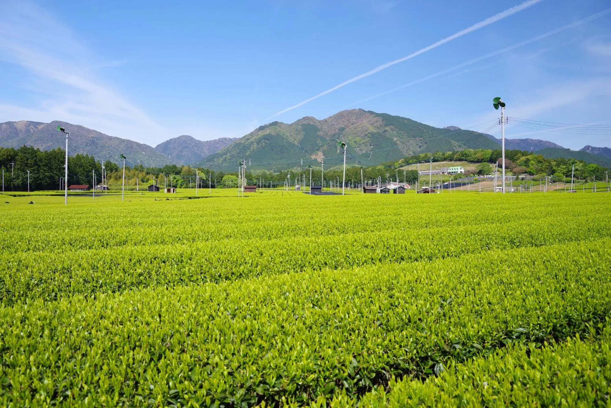 Tabist Miya Yokkaichi Suizawa