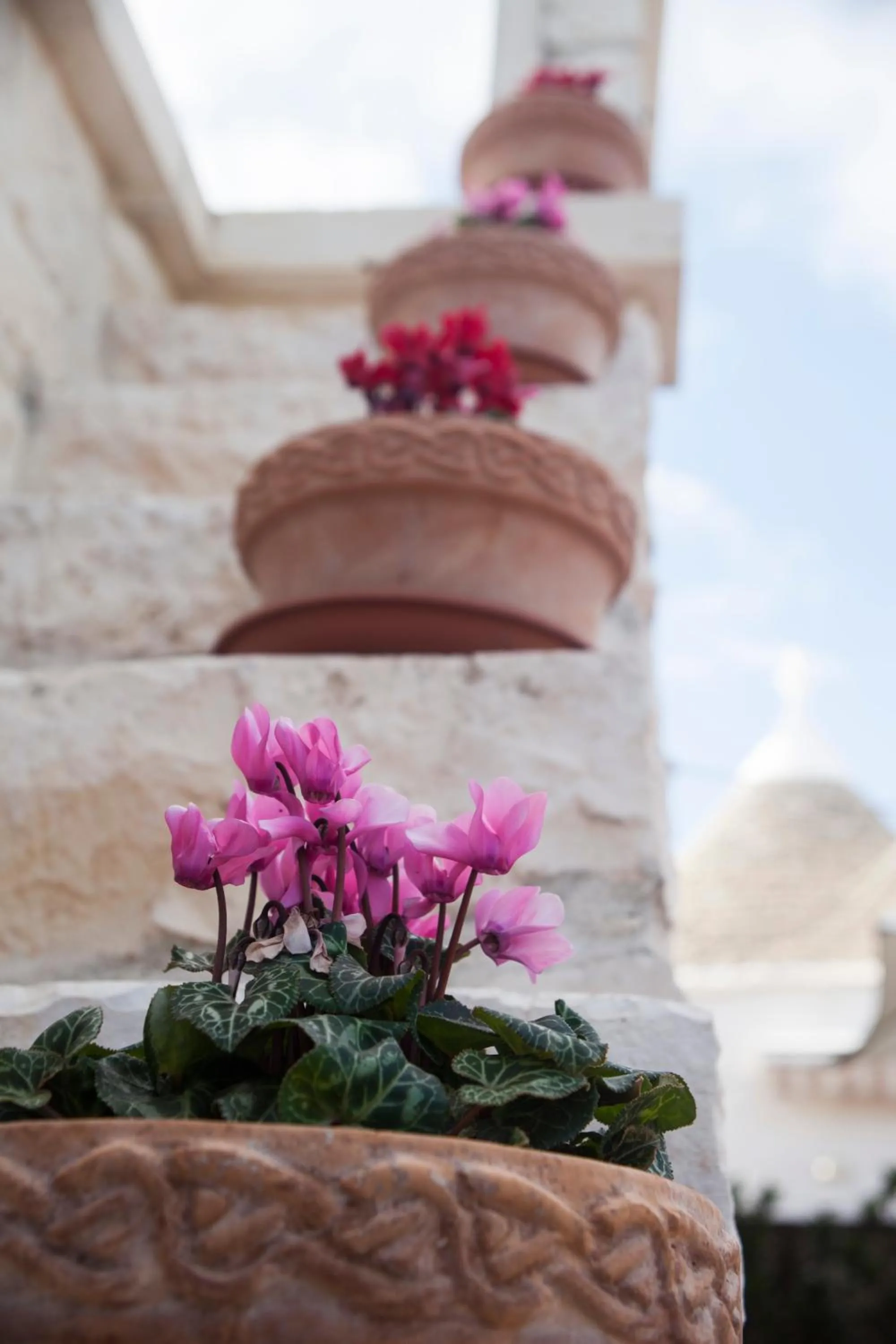 Il Calàscione Apulian Villas