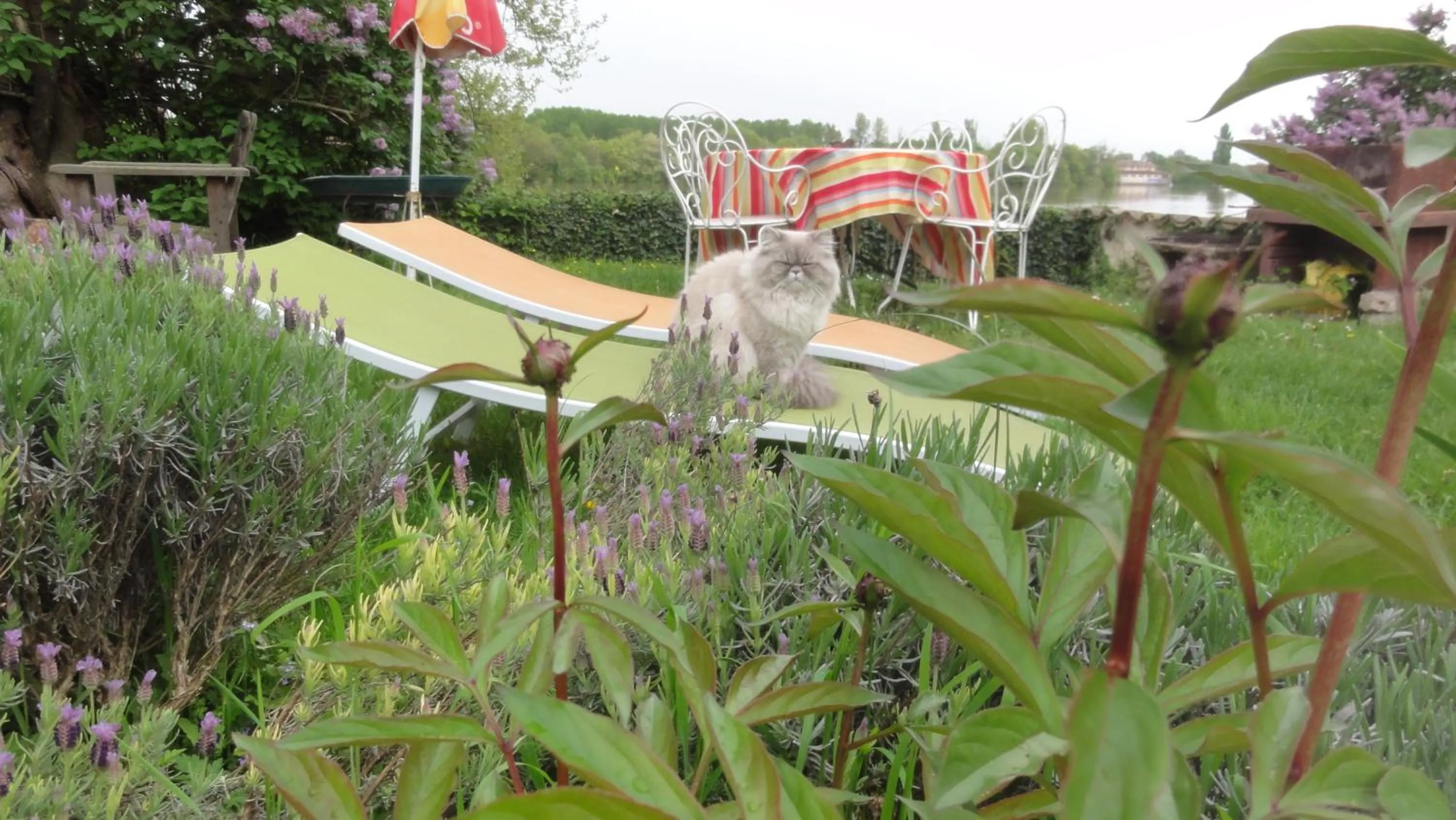 Chambre d'hôtes Au Fil de l'Eau