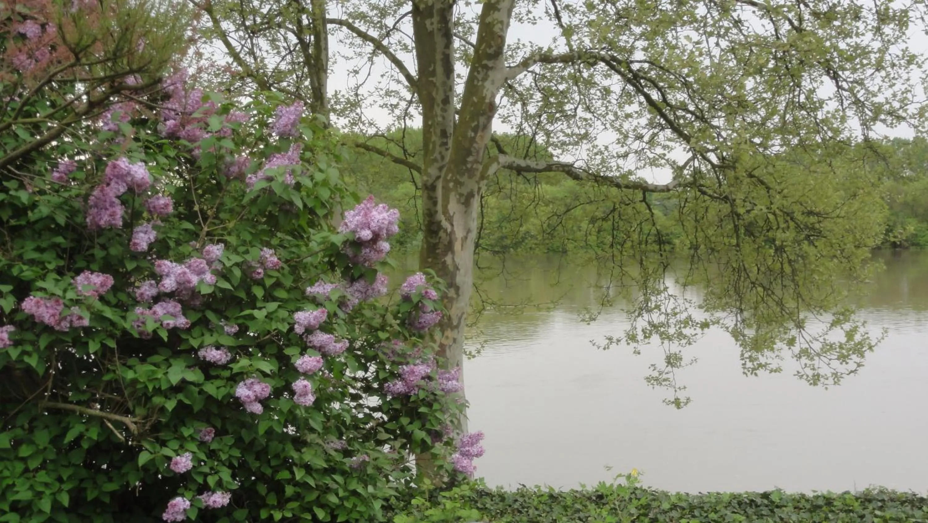Chambre d'hôtes Au Fil de l'Eau