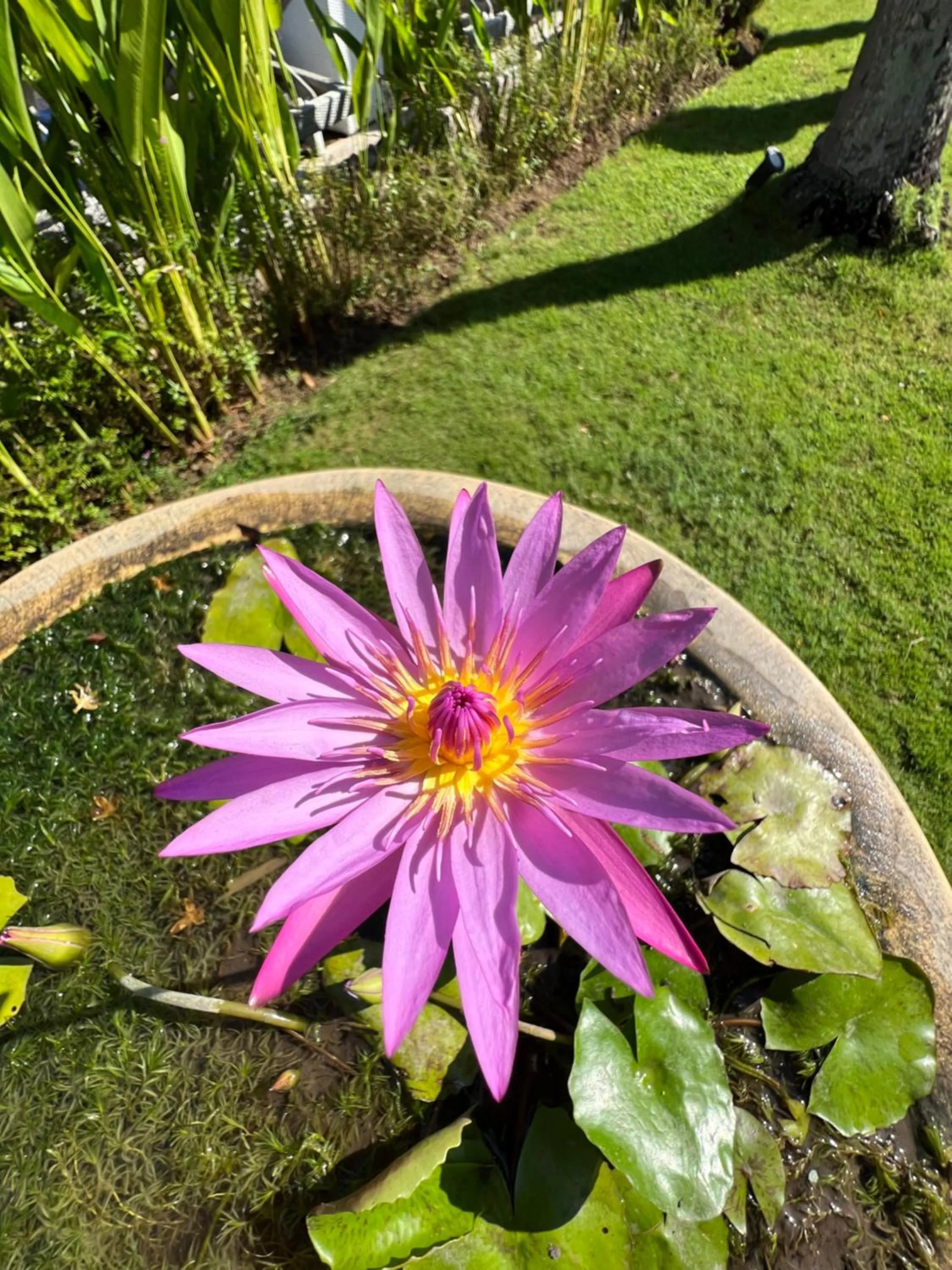 Coco Verde Bali Resort