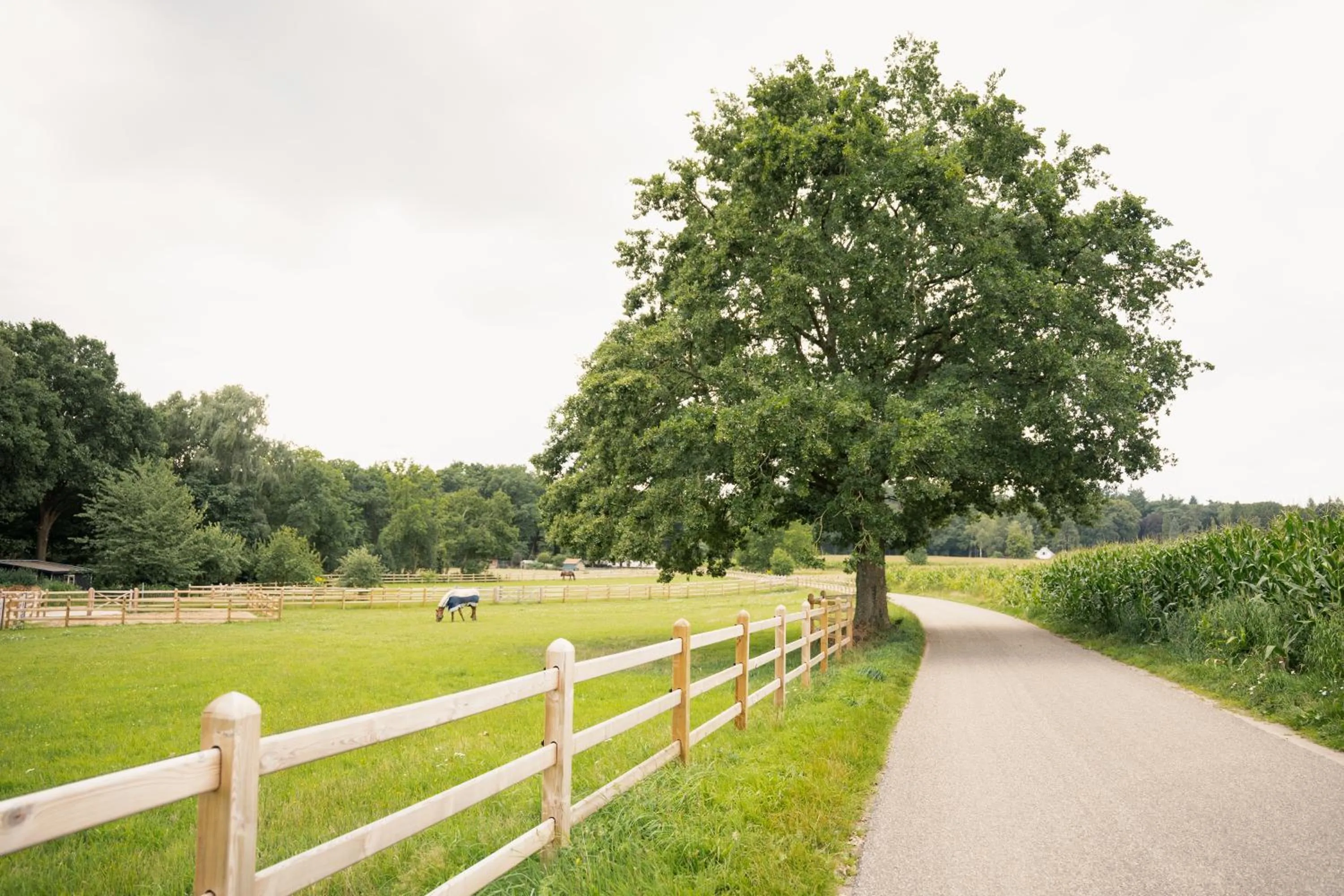 Hotel Restaurant de Loenermark