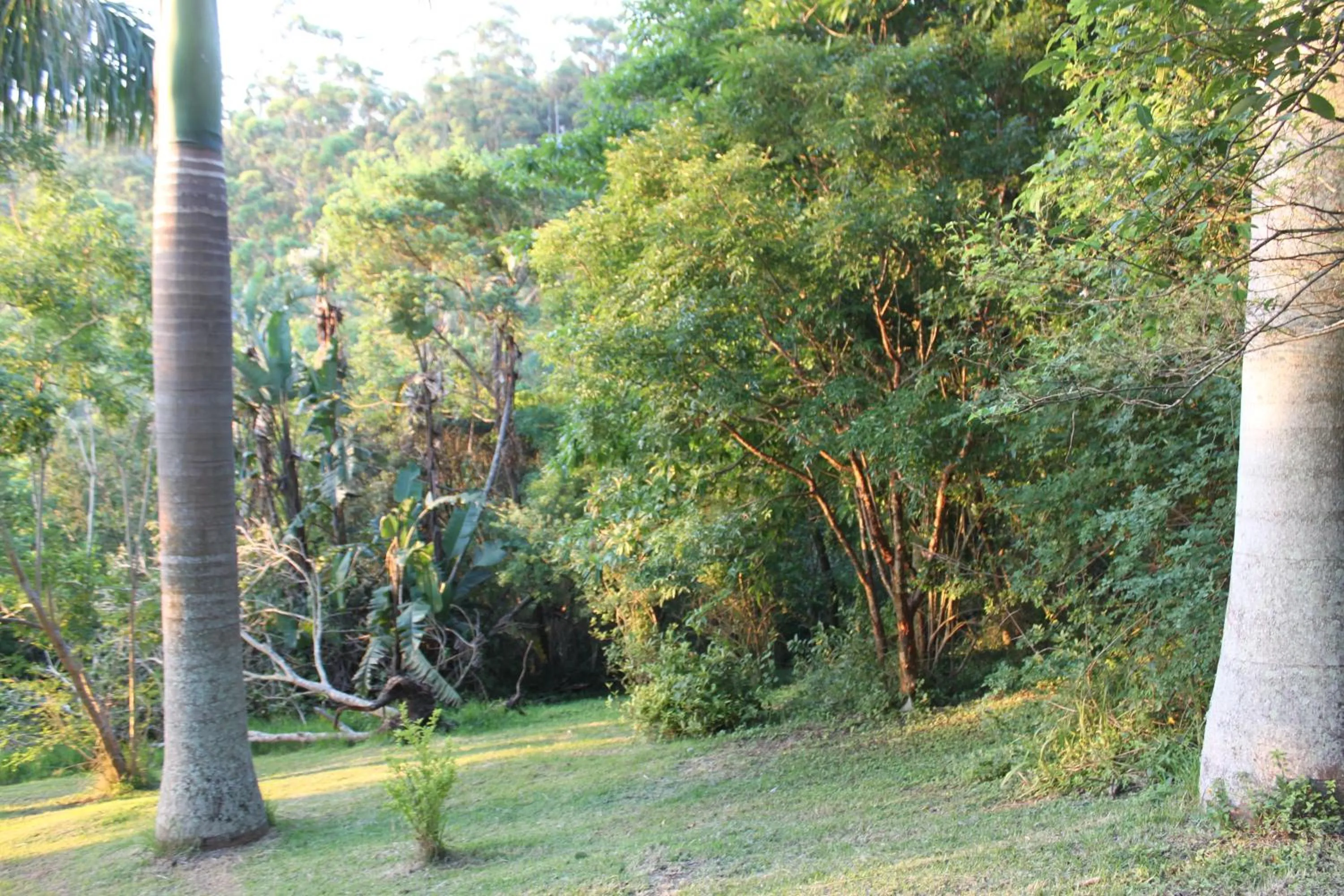 Garden view in Royston Hall Historical Guesthouse