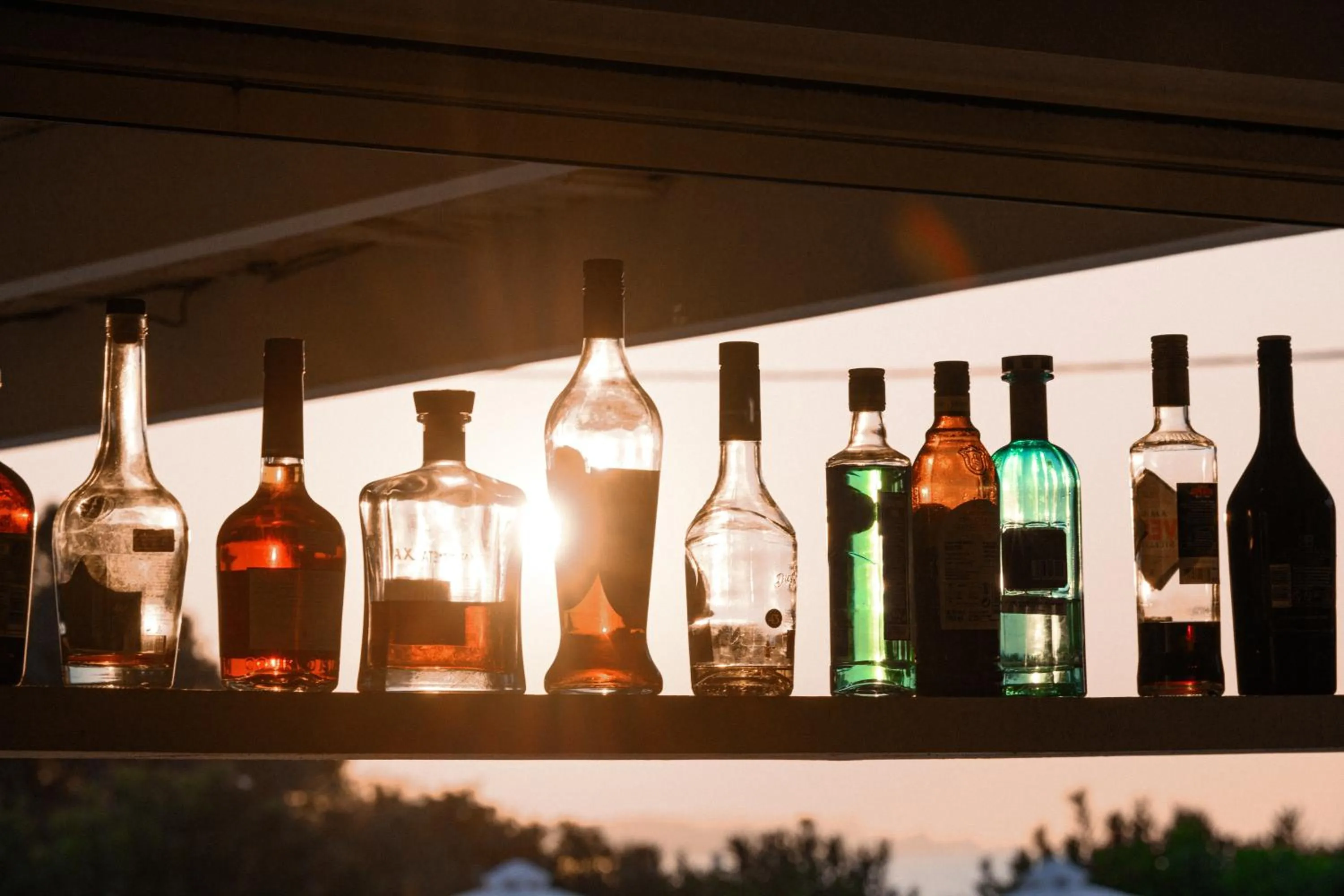 Lounge or bar in Restia