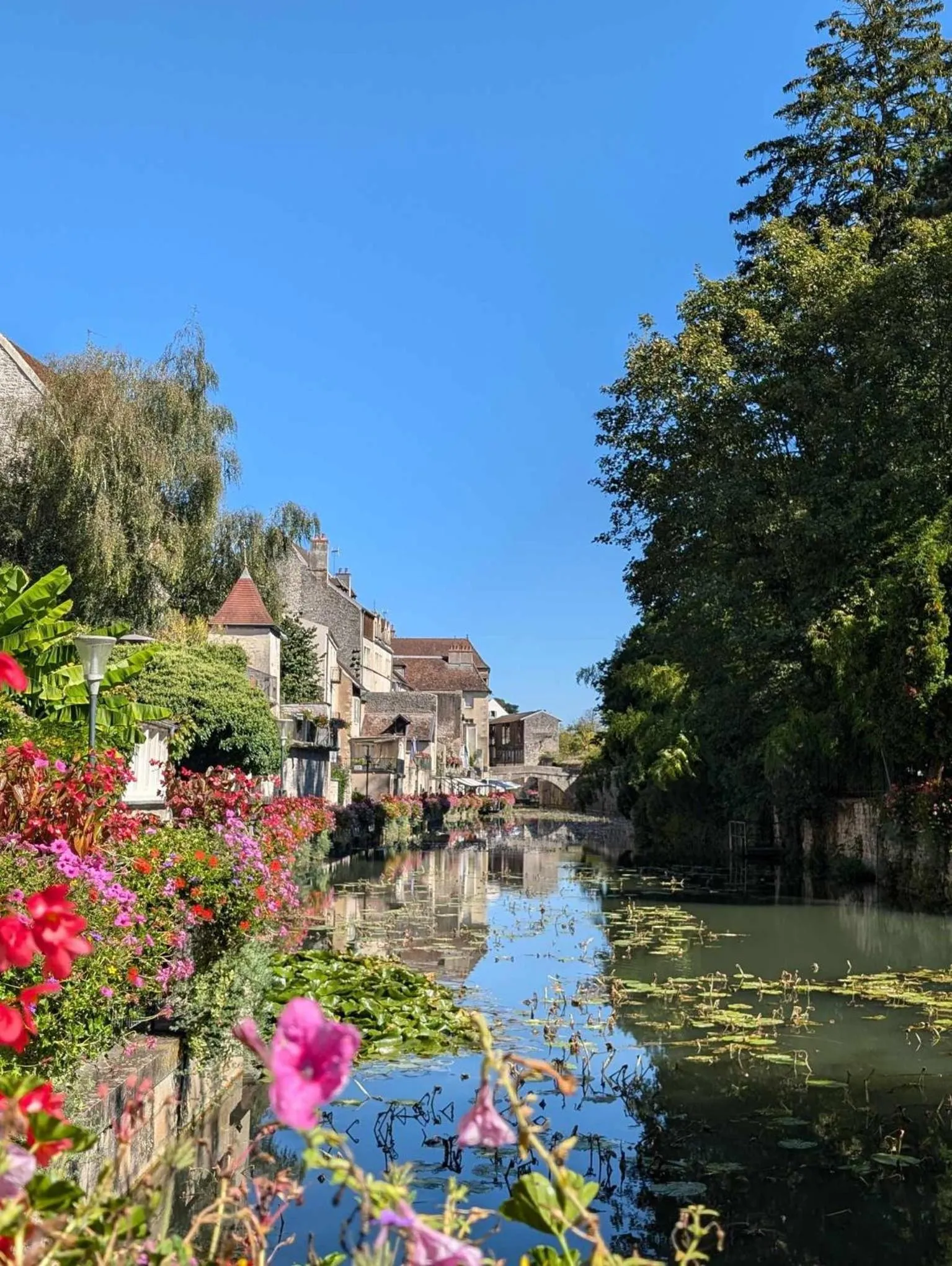 péniche Ino Lefkothea II chambre d'hôtes
