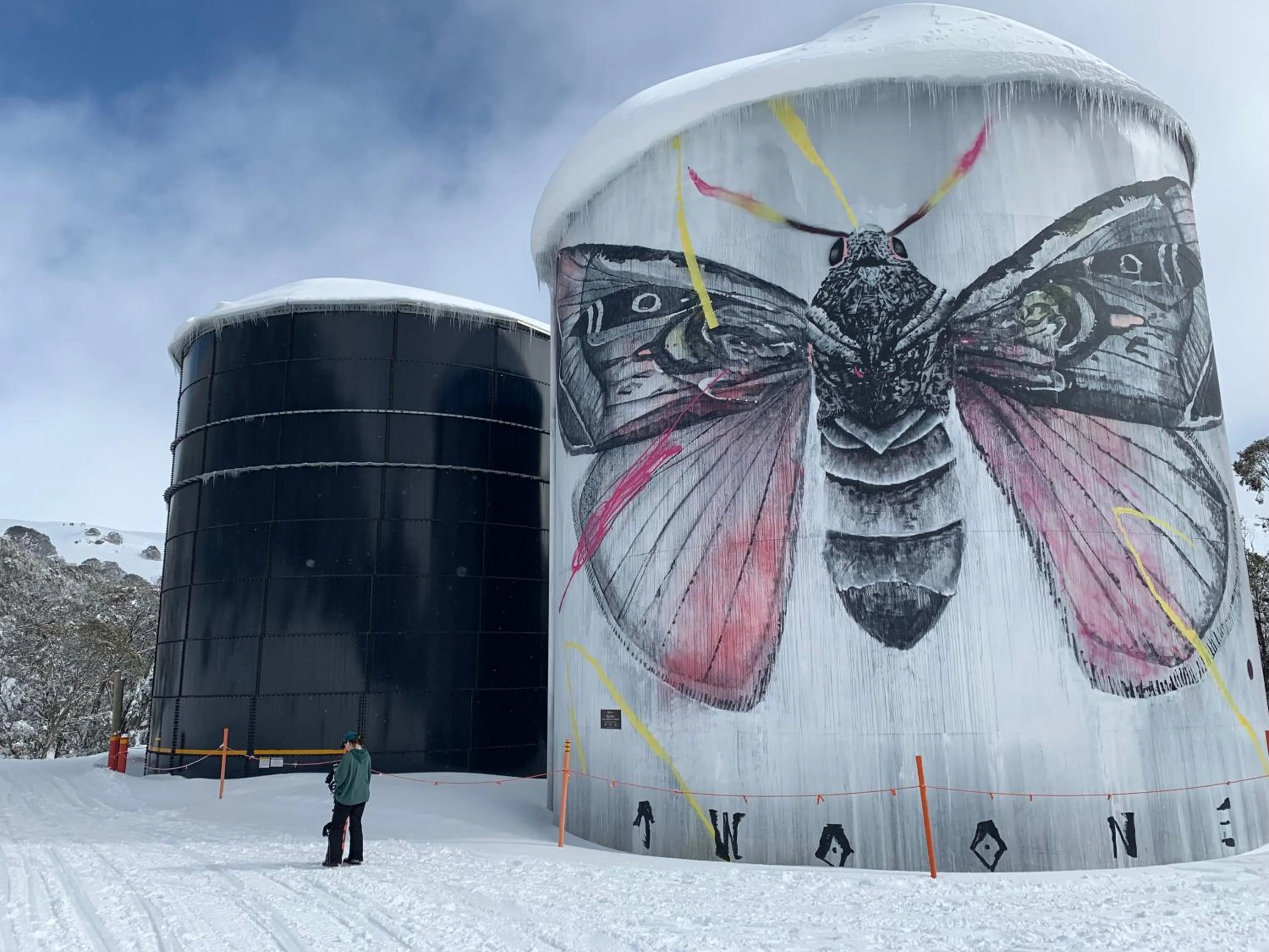 Skiing in Mount Beauty Motor Inn