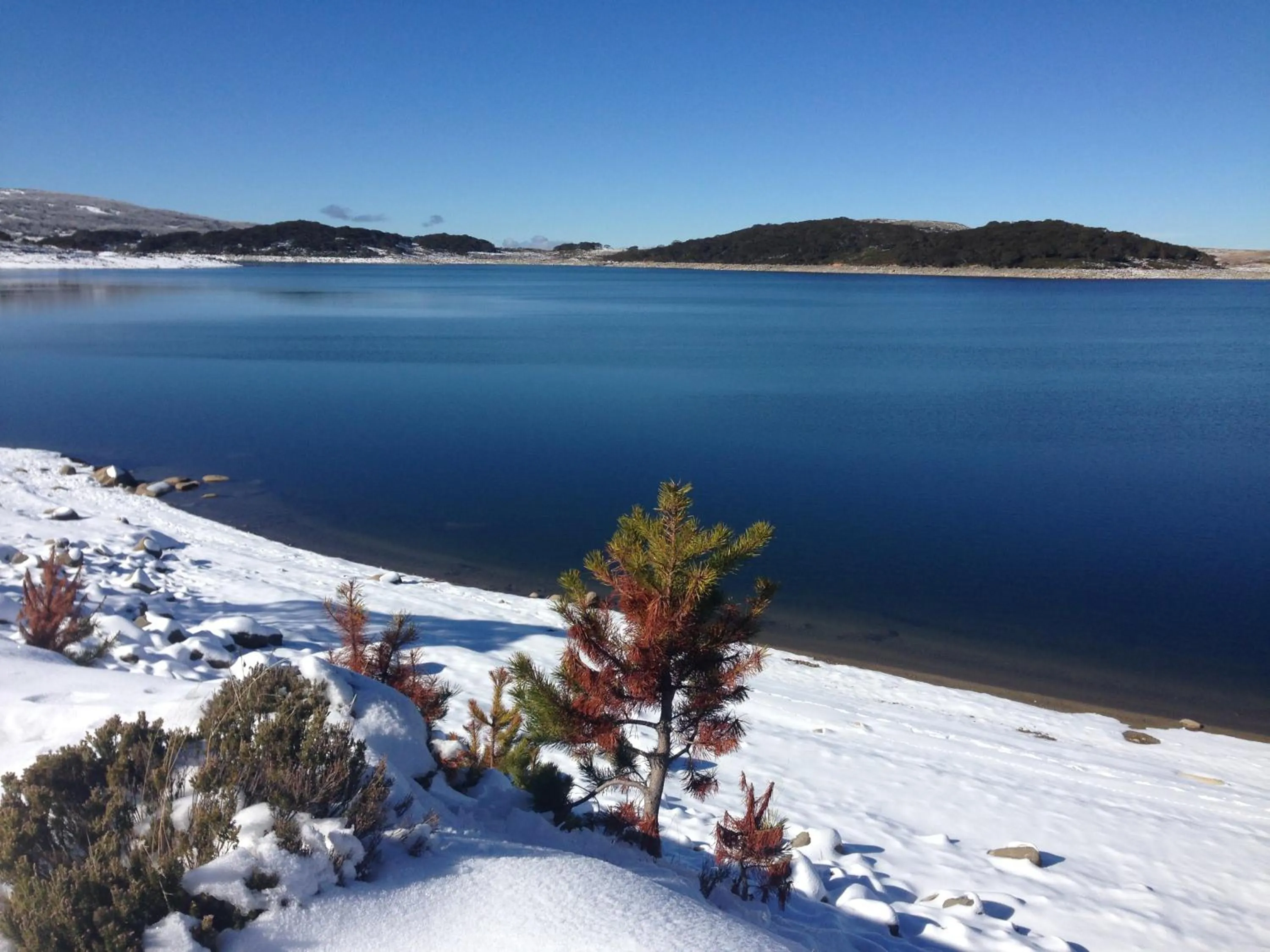 Hiking in Mount Beauty Motor Inn