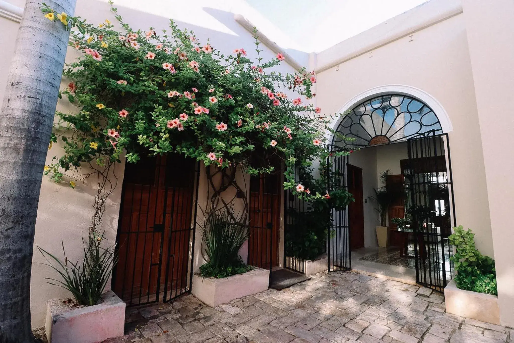 Facade/entrance in Casa de Las Palomas Boutique Hotel by Paloma's Hotels - Adults Only Facade/entrance in Casa de Las Palomas Boutique Hotel by Paloma's Hotels - Adults Only