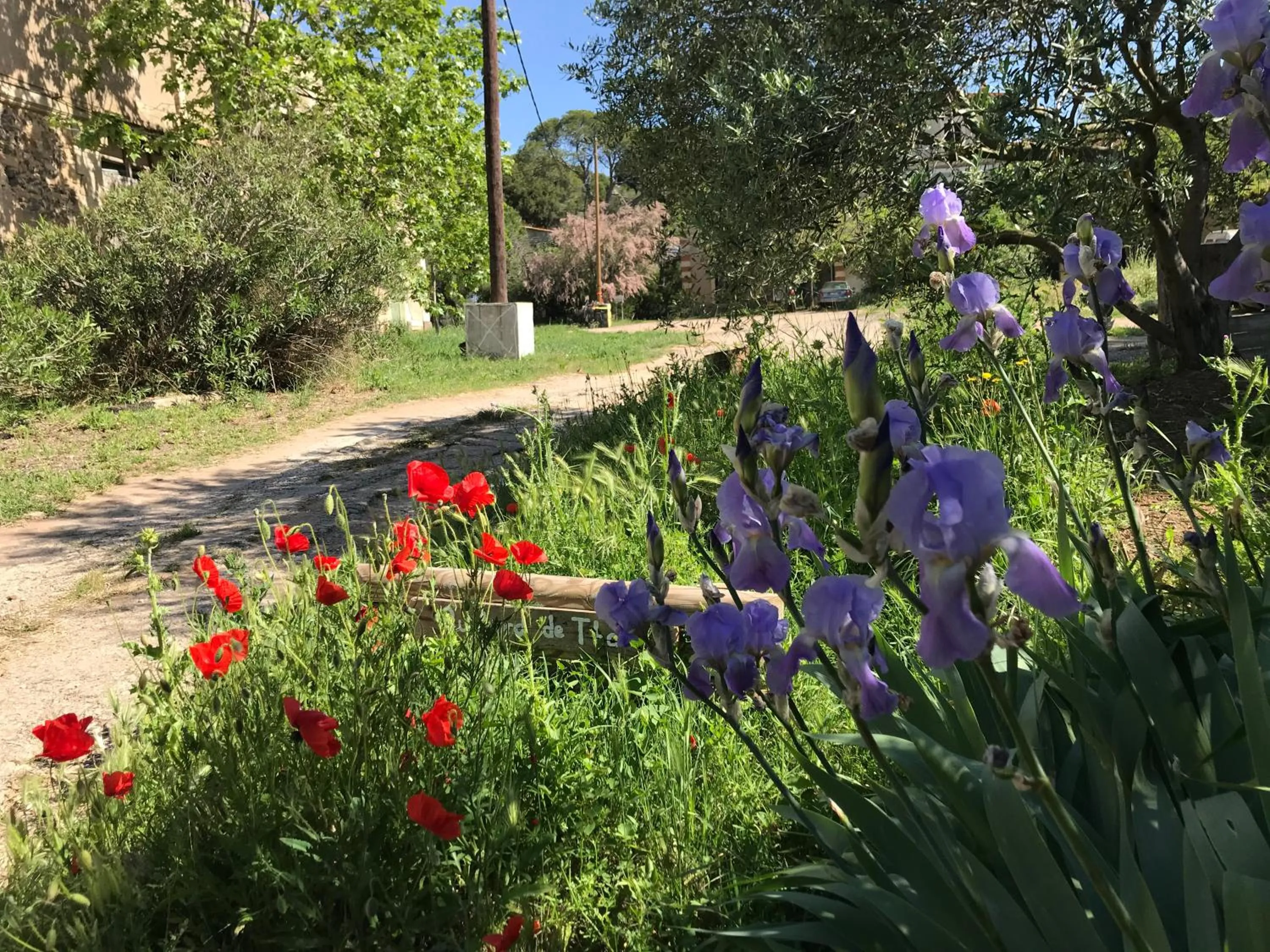Facade/entrance in Au bord de Thau
