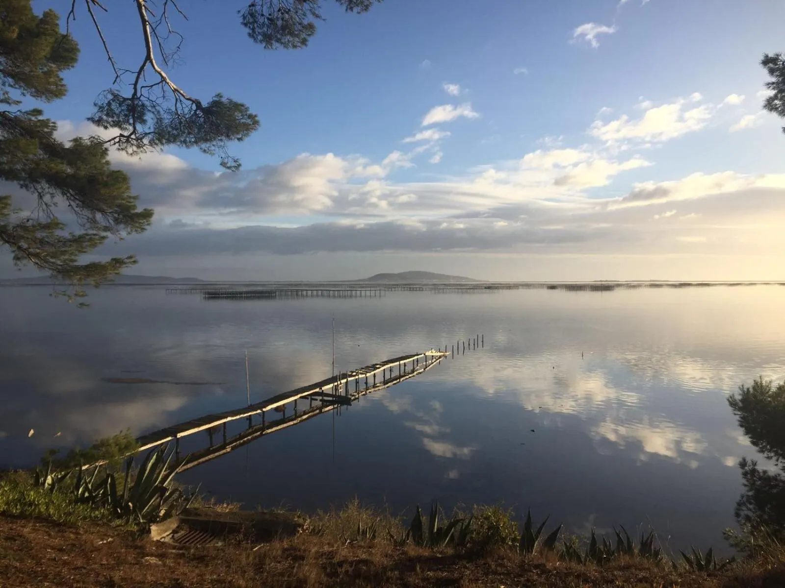 Natural landscape in Au bord de Thau