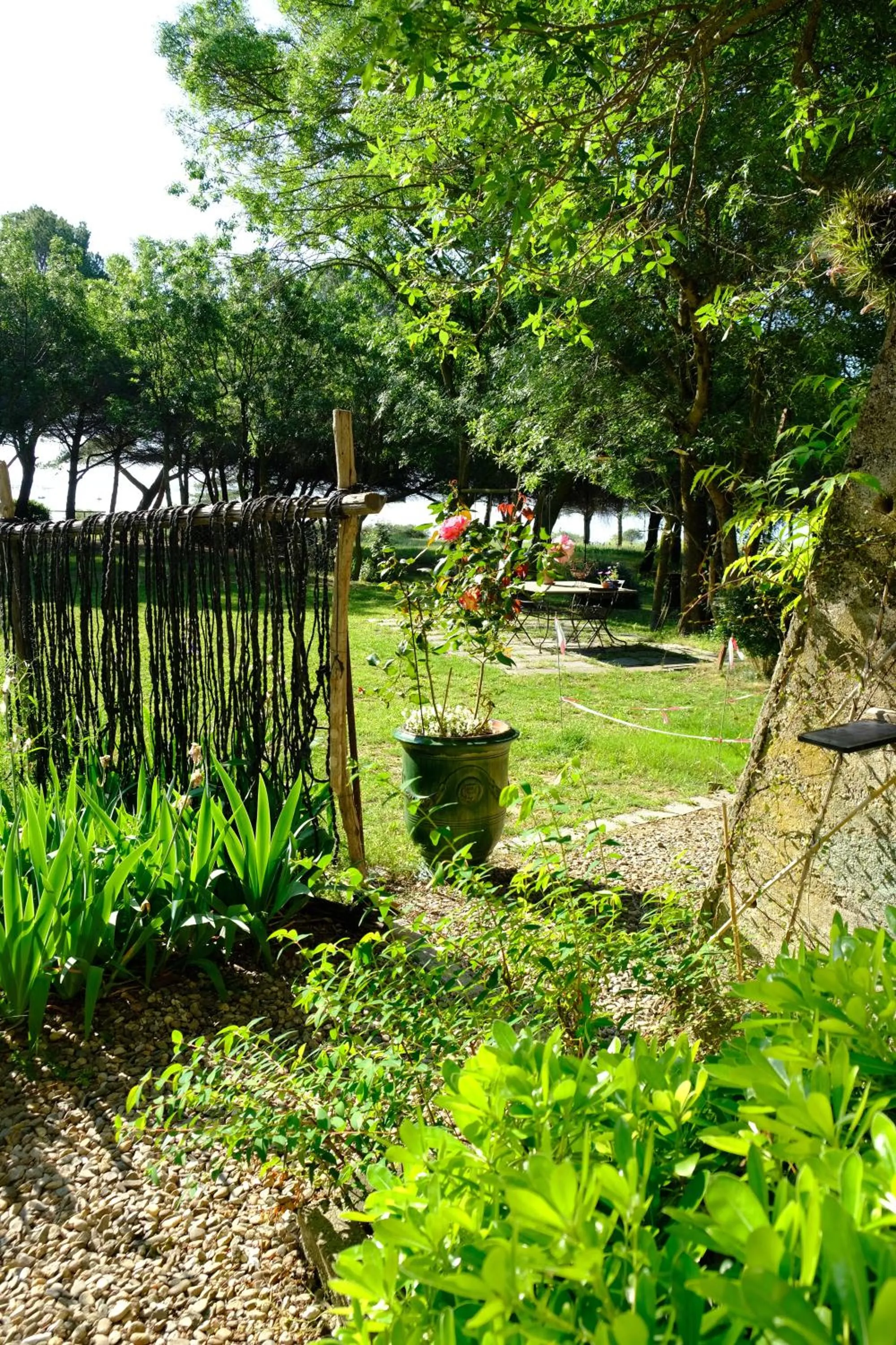 Garden in Au bord de Thau