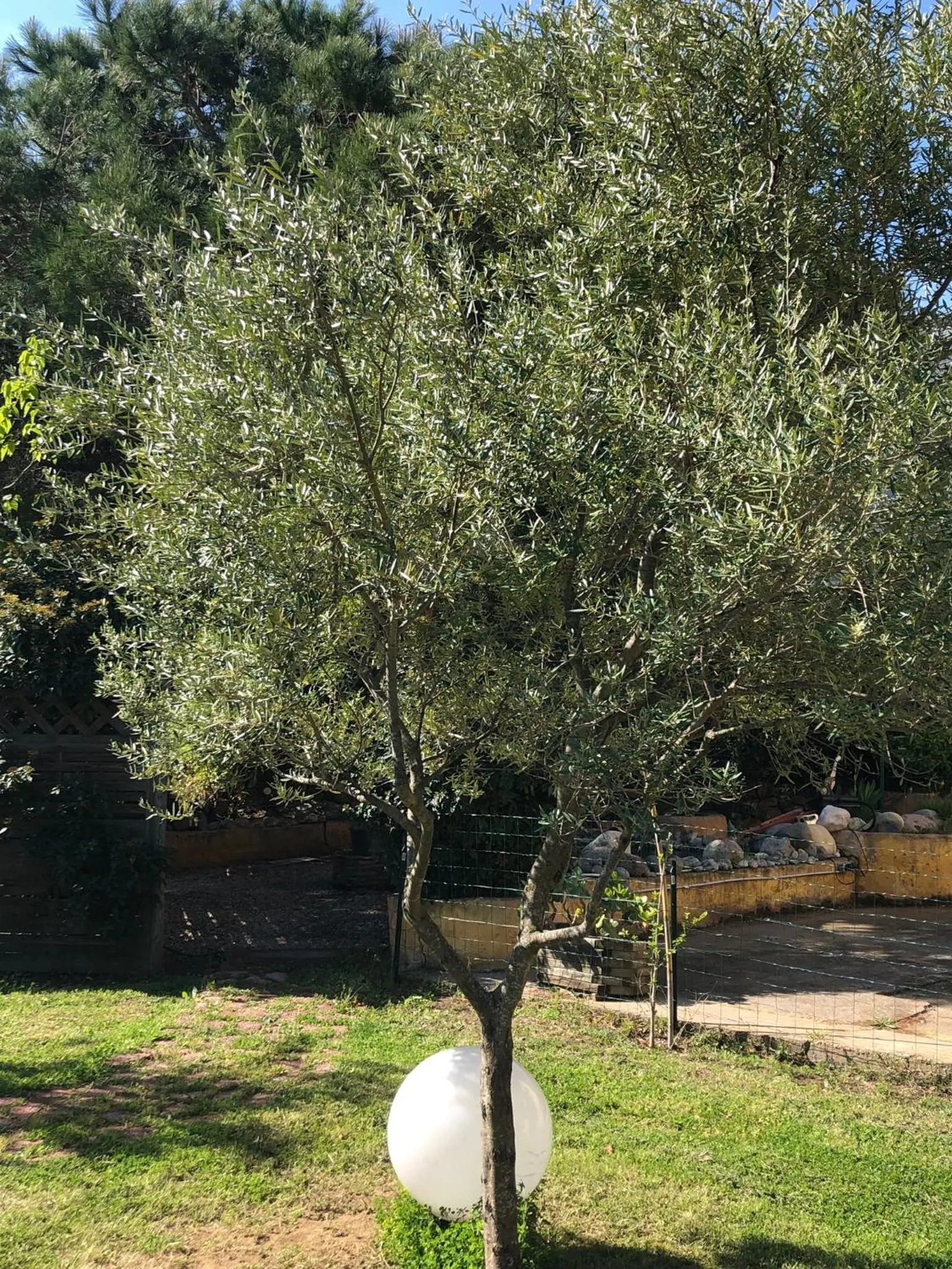 Garden in Casa di Floumy