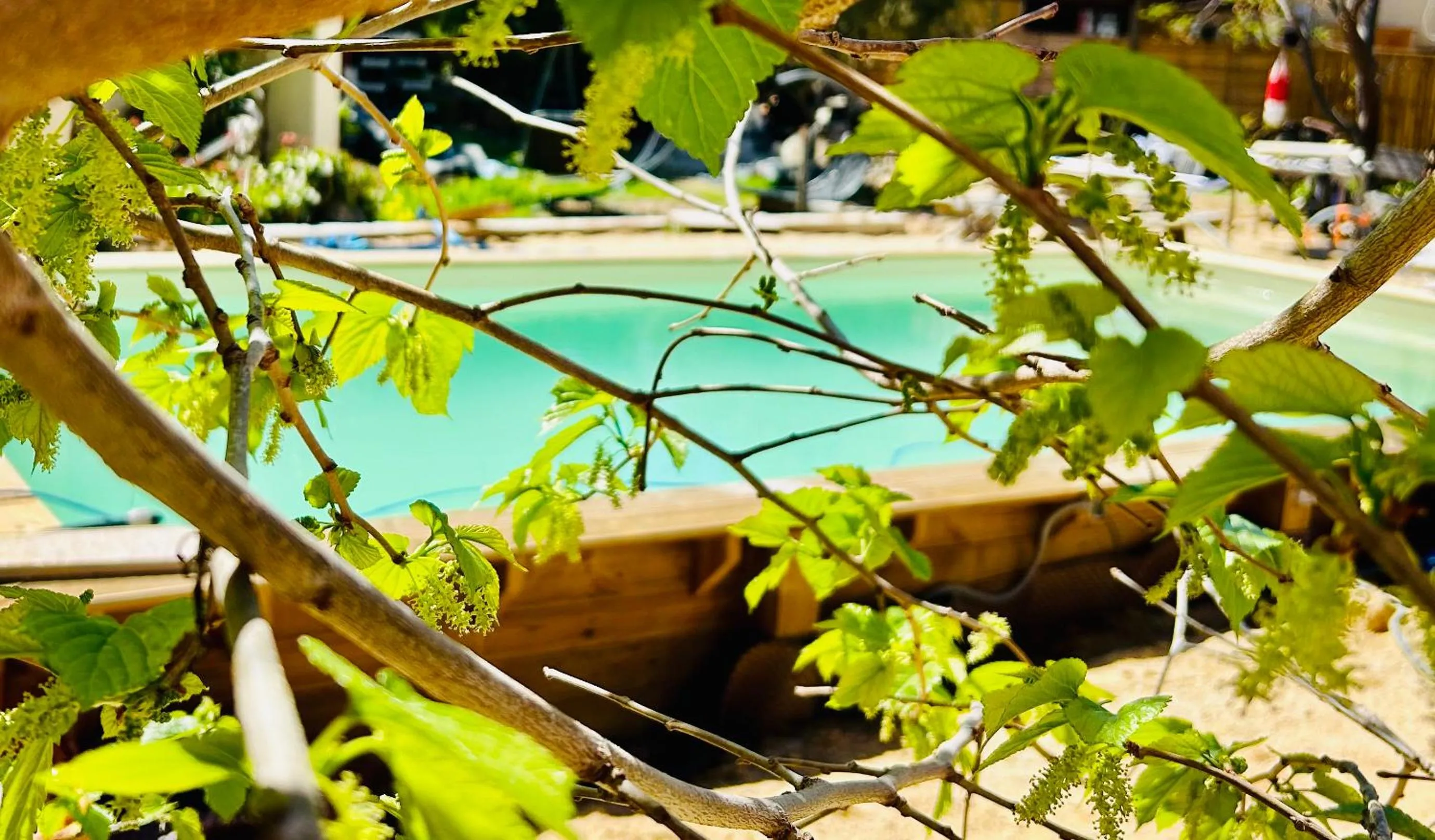 Swimming pool in Casa di Floumy
