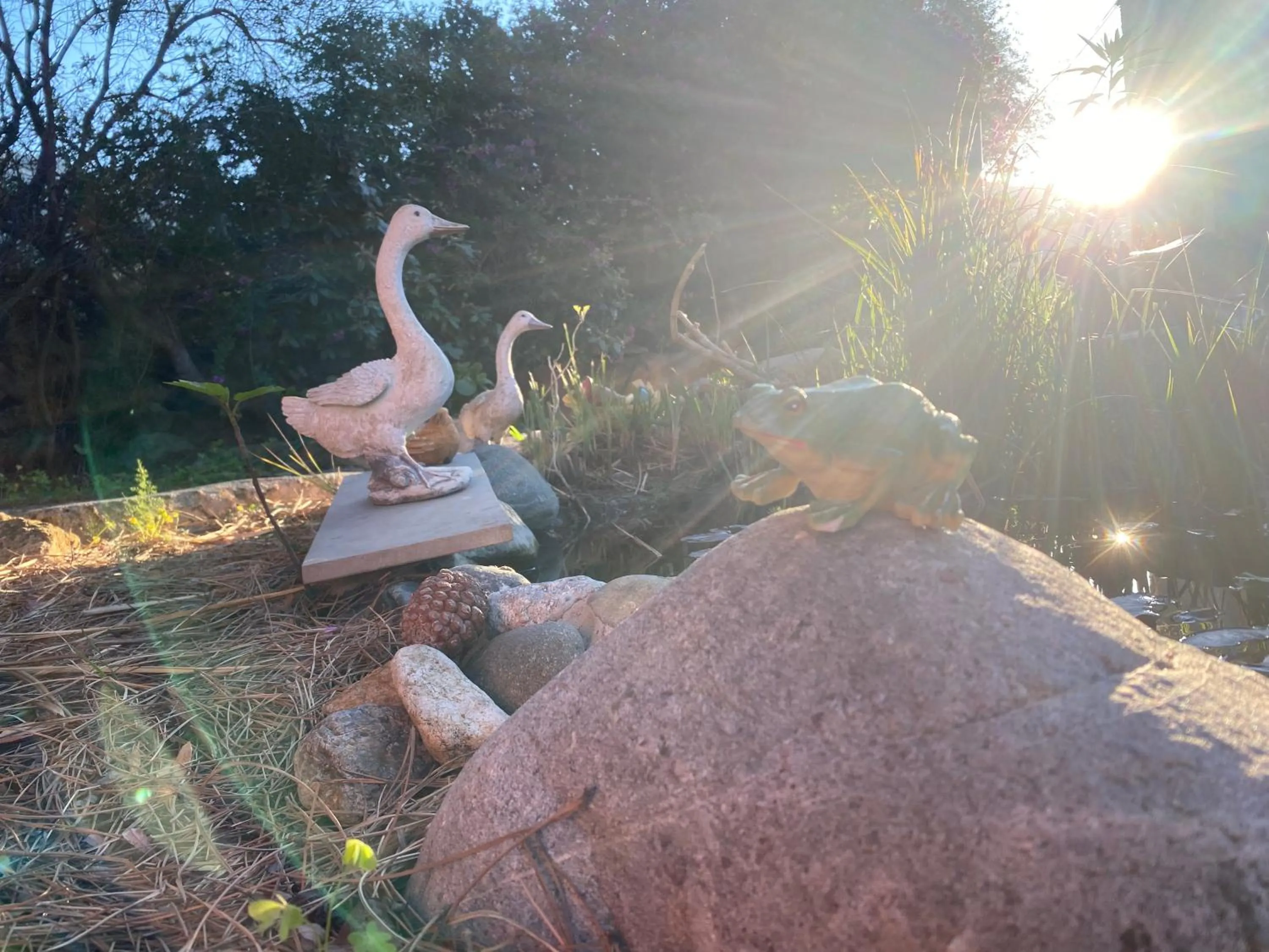 Garden in Casa di Floumy